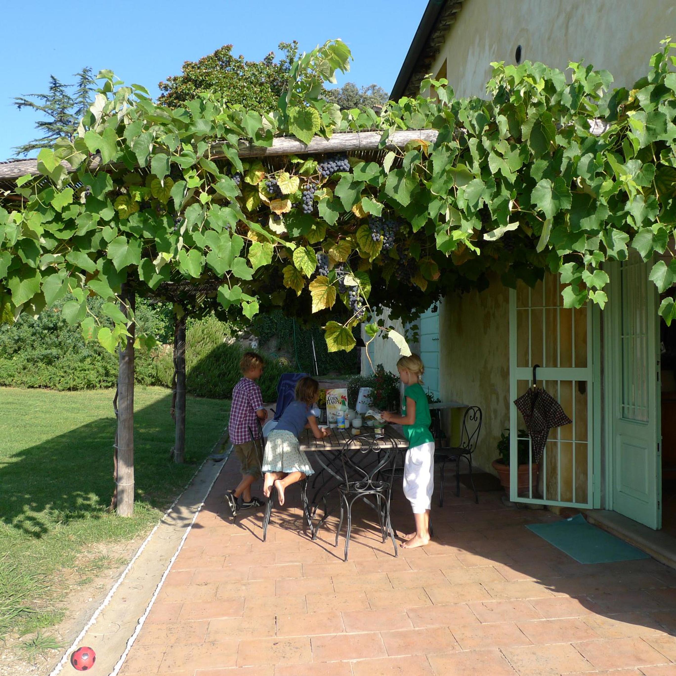 Azienda Agricola Fabbrica Di San Martino