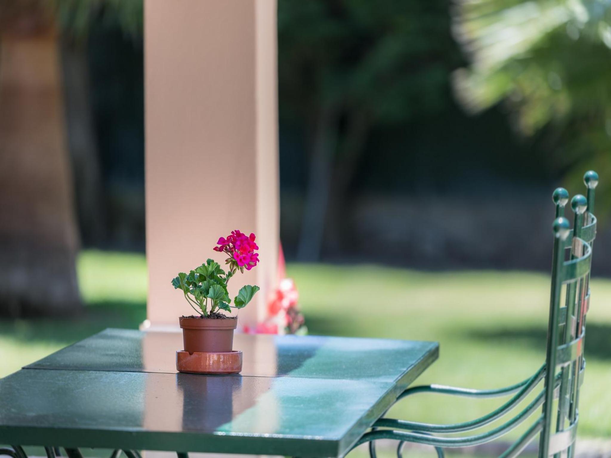 Apartamentos Monte dos Avós, Albufeira by AlgarveBlossom
