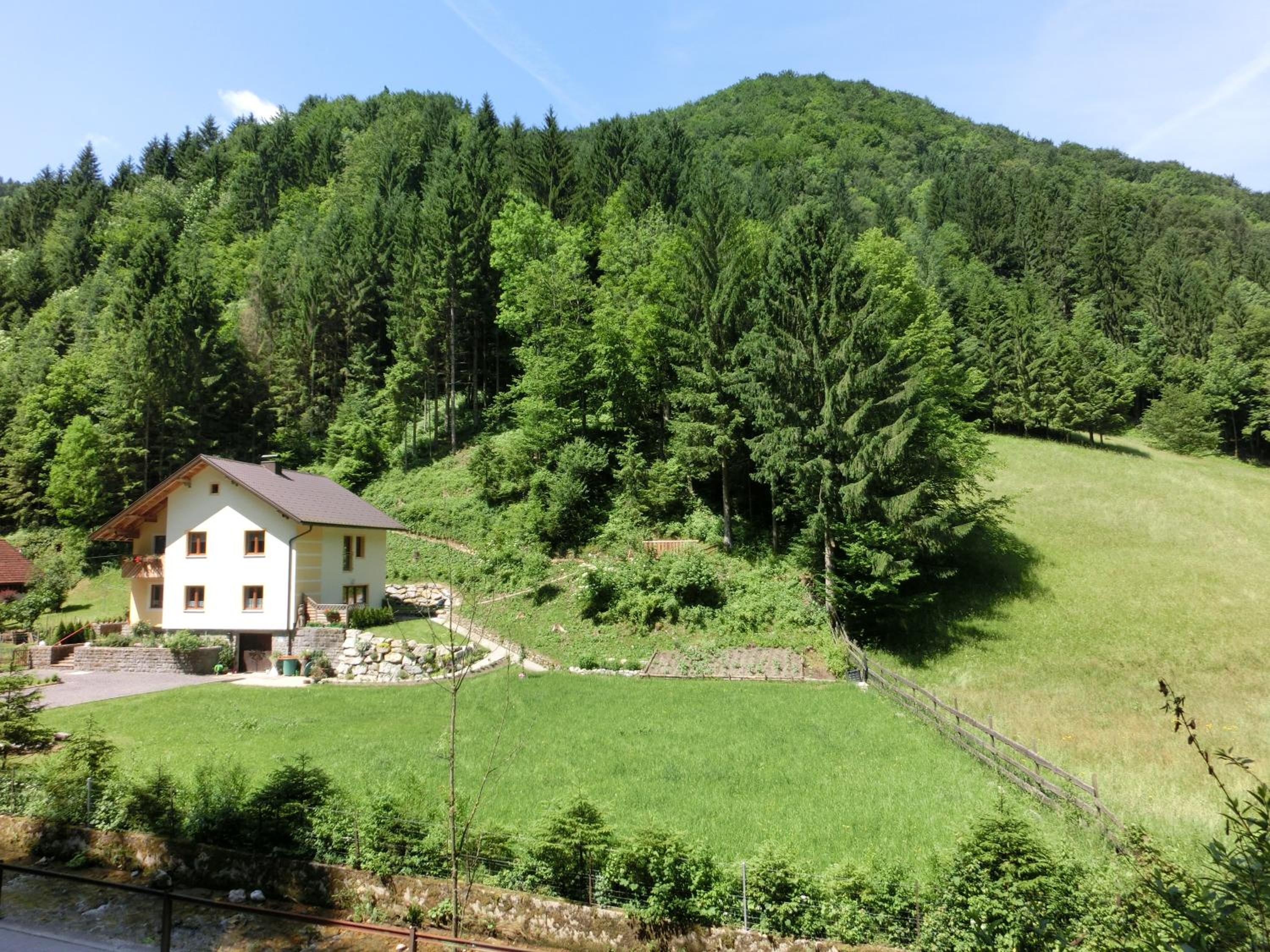 Gästehaus Forstner view 2