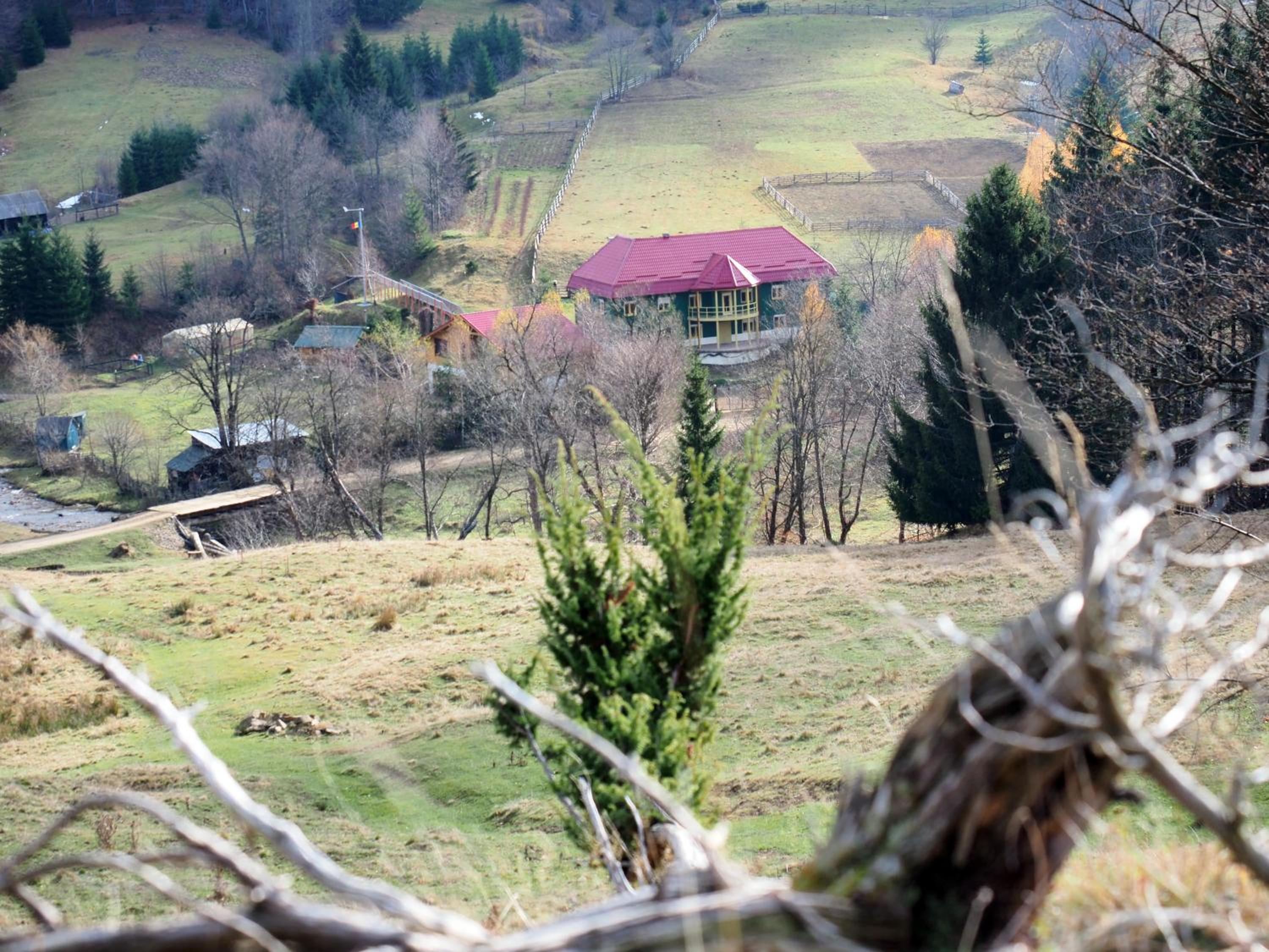 Photo 12