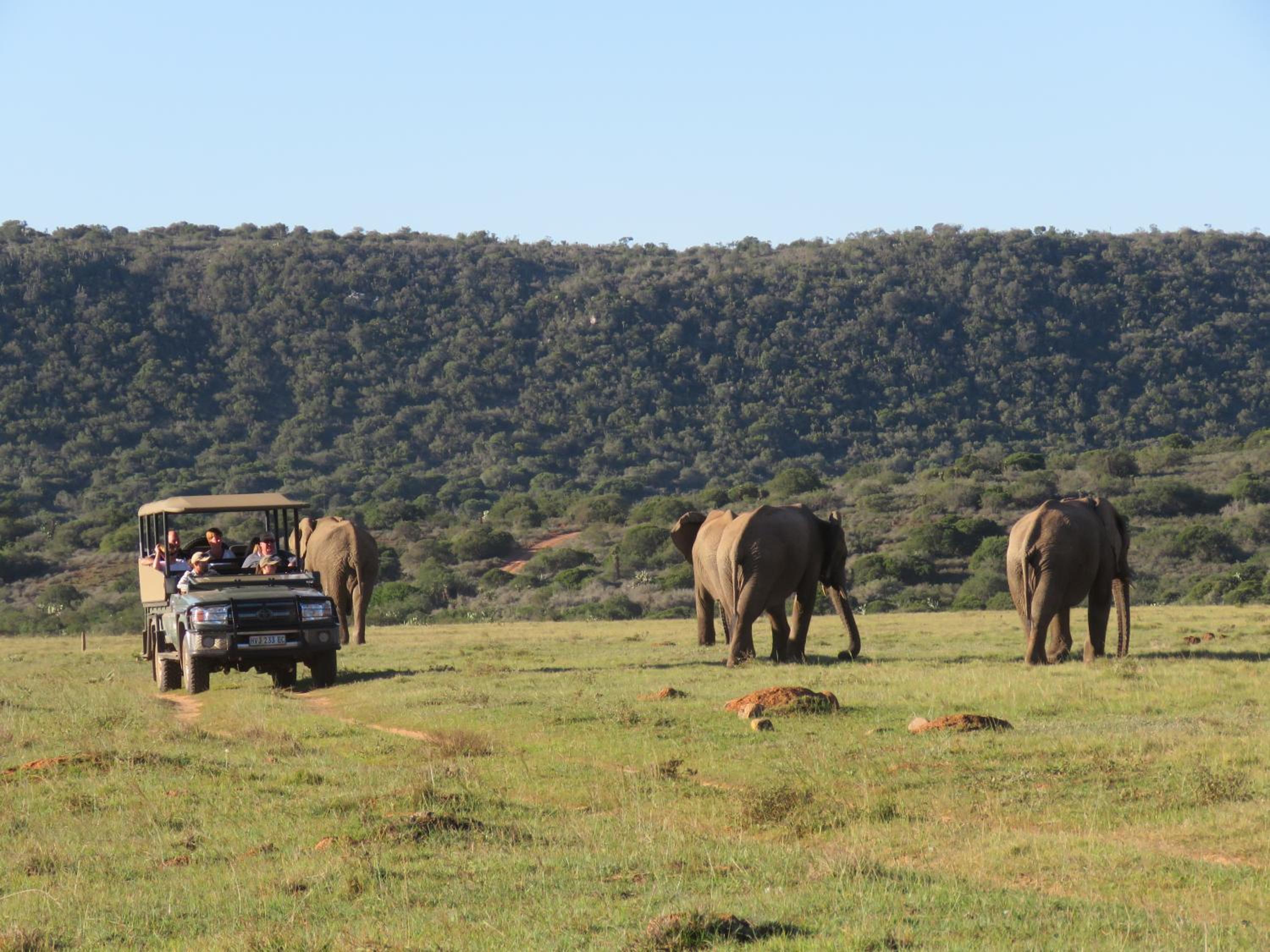 Woodbury Lodge – Amakhala Game Reserve
