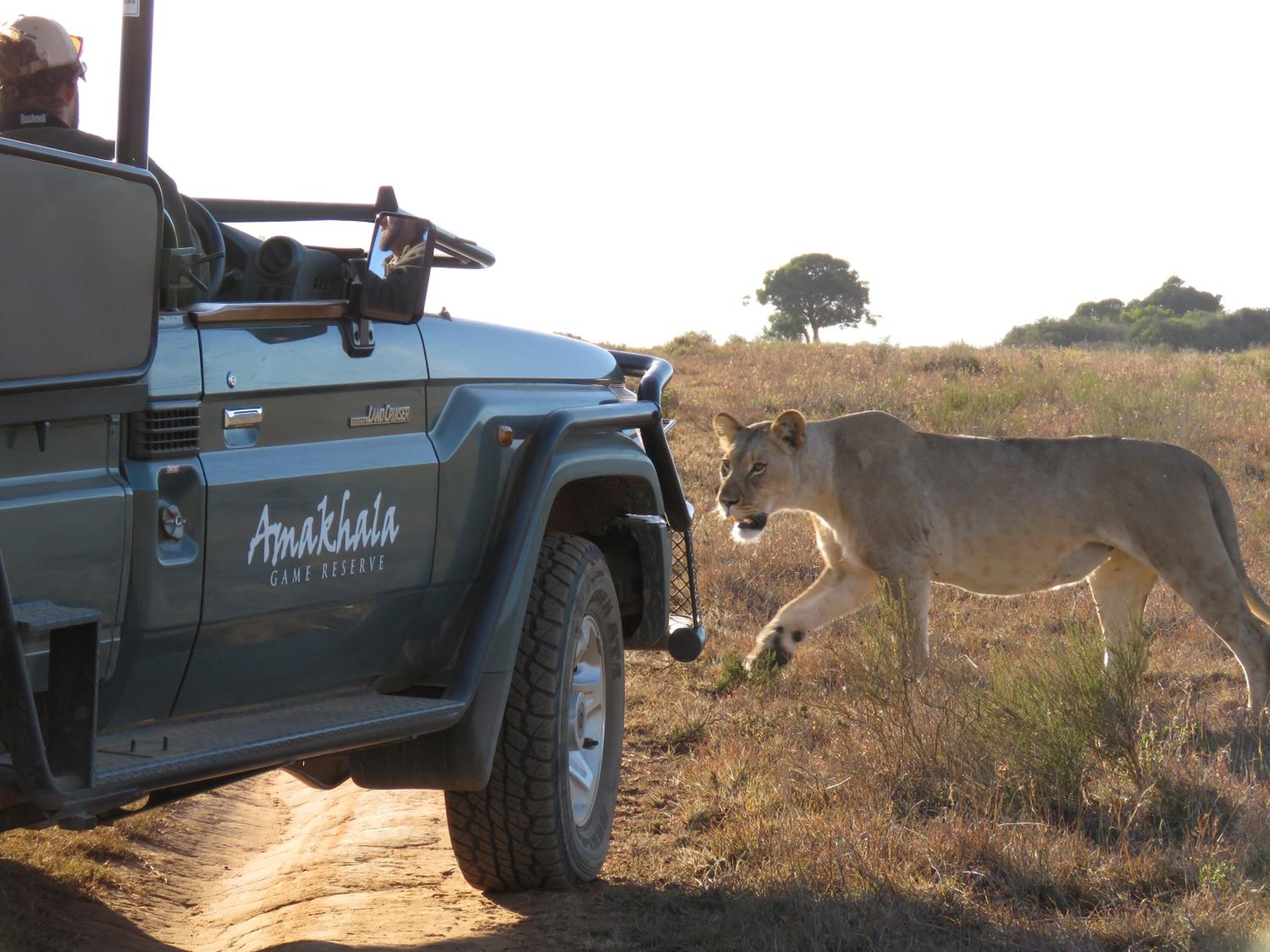 Woodbury Lodge – Amakhala Game Reserve