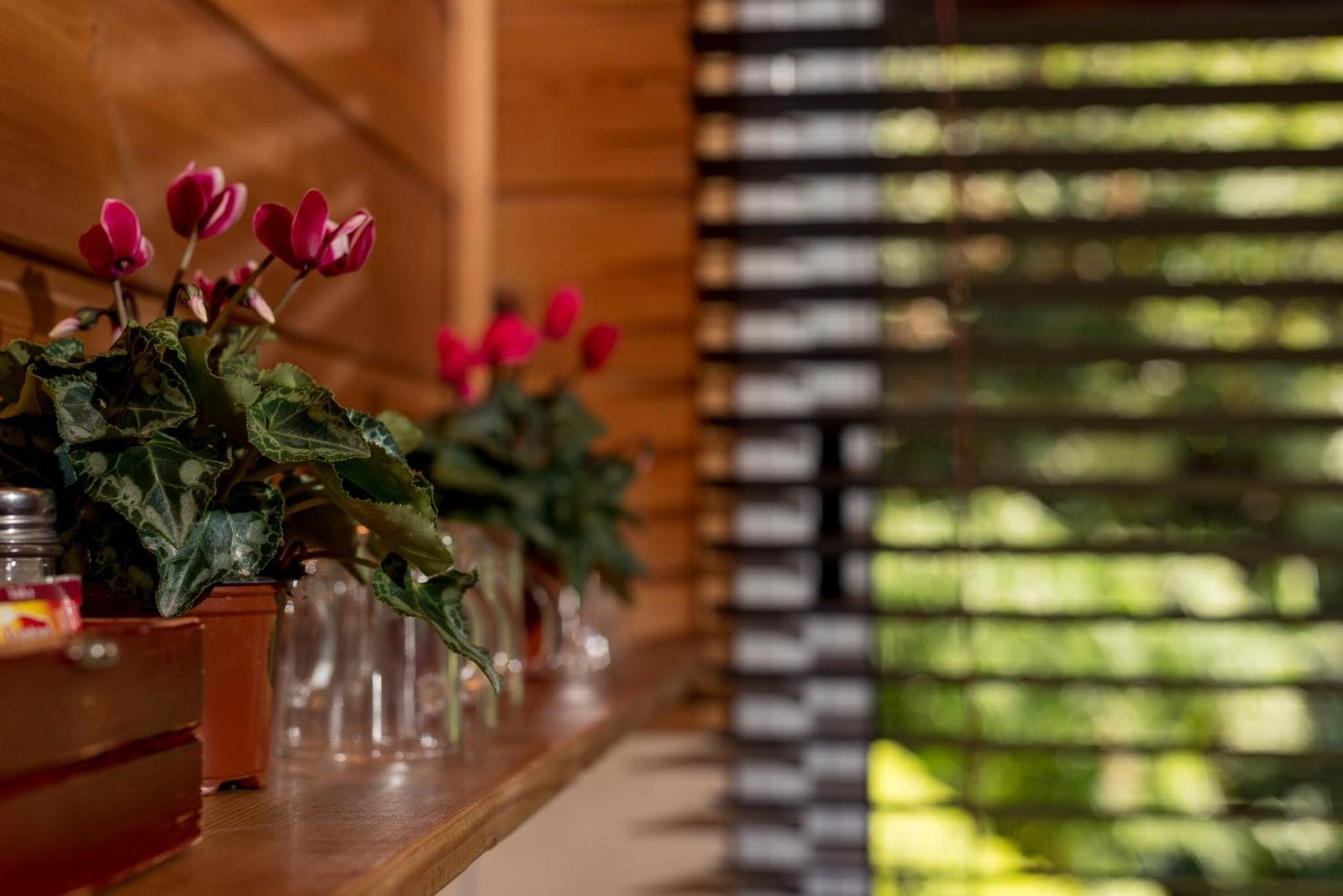 Nofey HaBashan Country Lodge