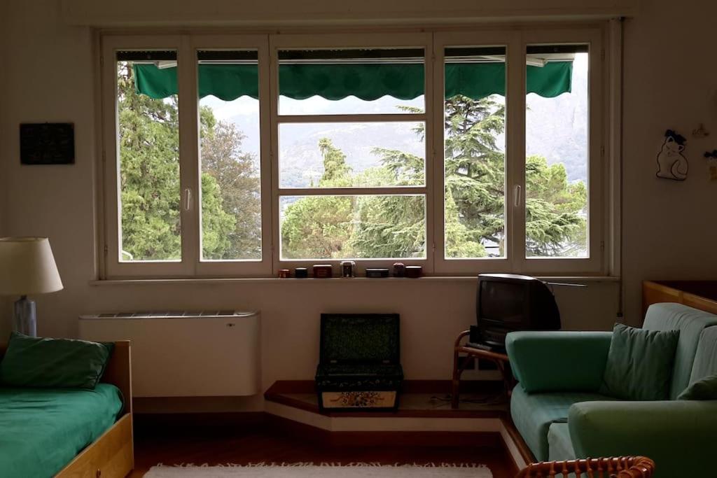 Park apartment view 4