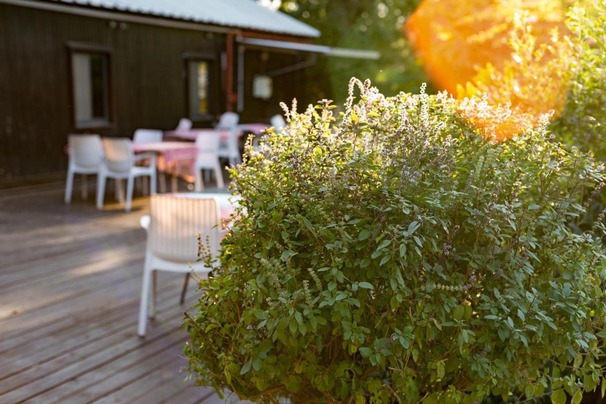 Nofey HaBashan Country Lodge