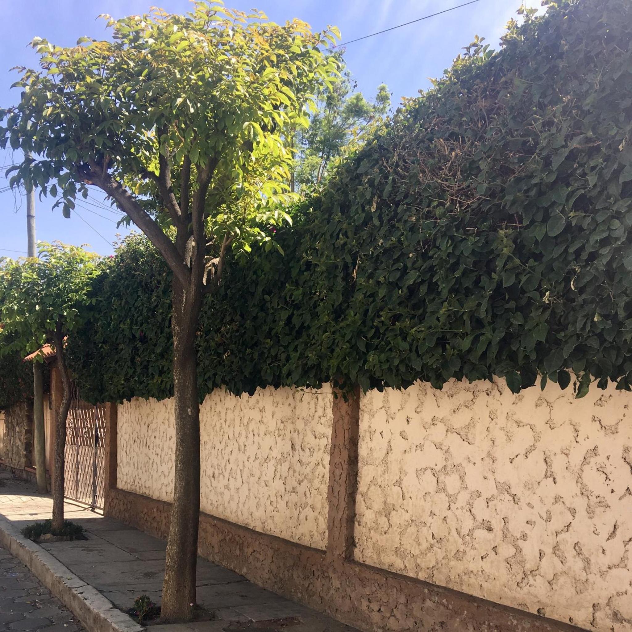Apartamento con jardin