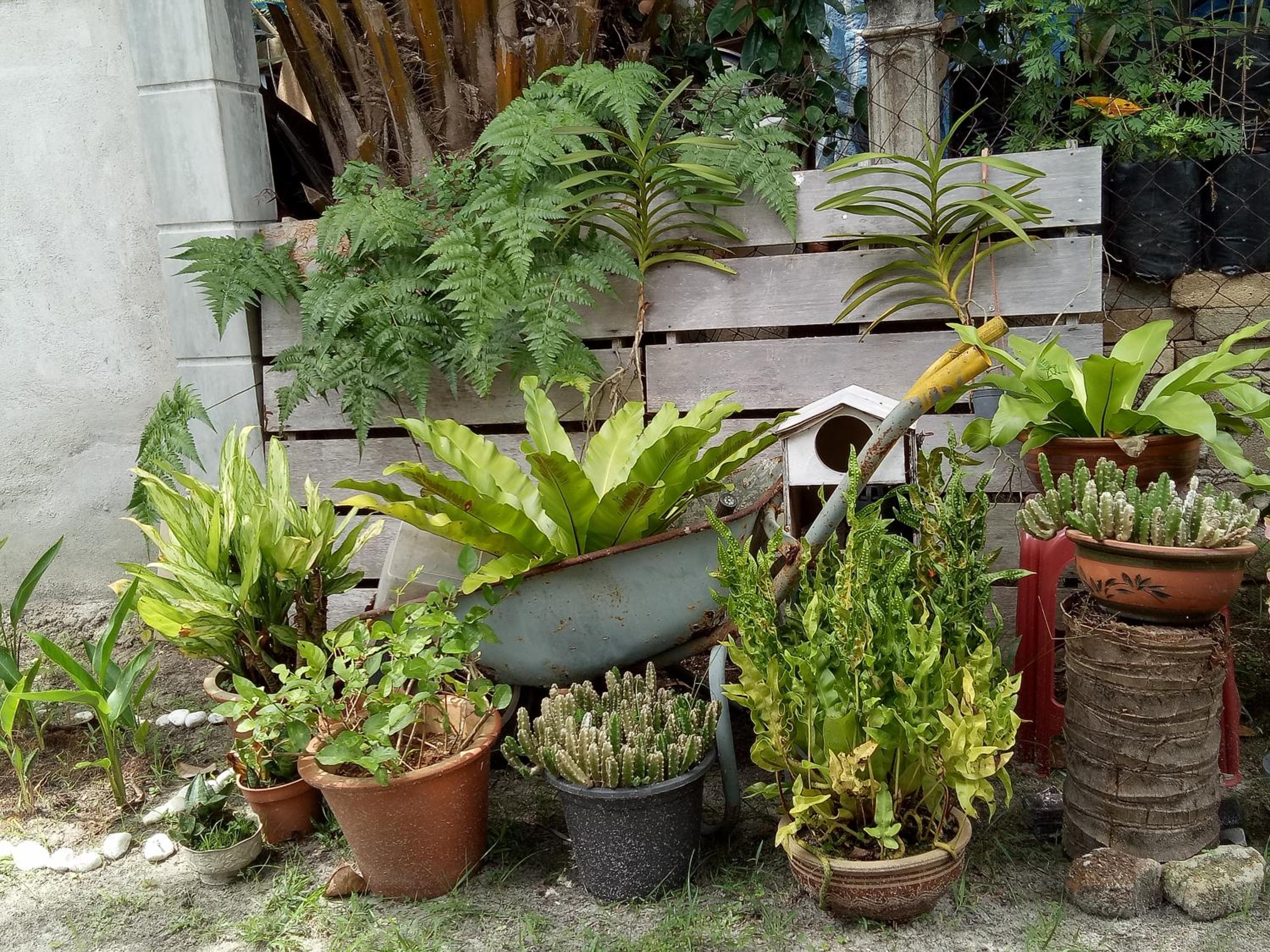 Photo 17