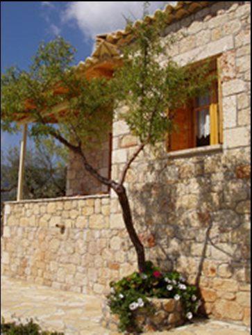 Photo 32