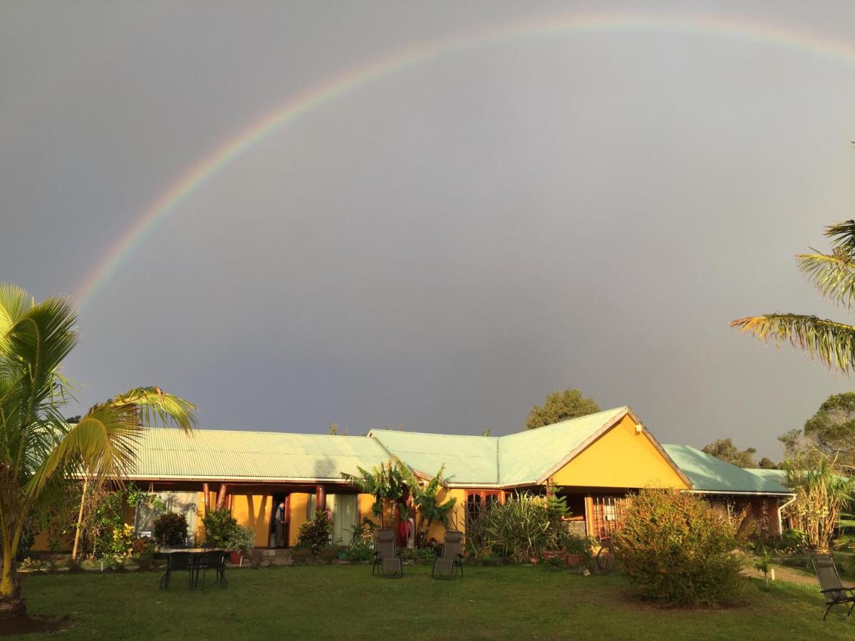 Cabañas Rapa Nui Orito view 4