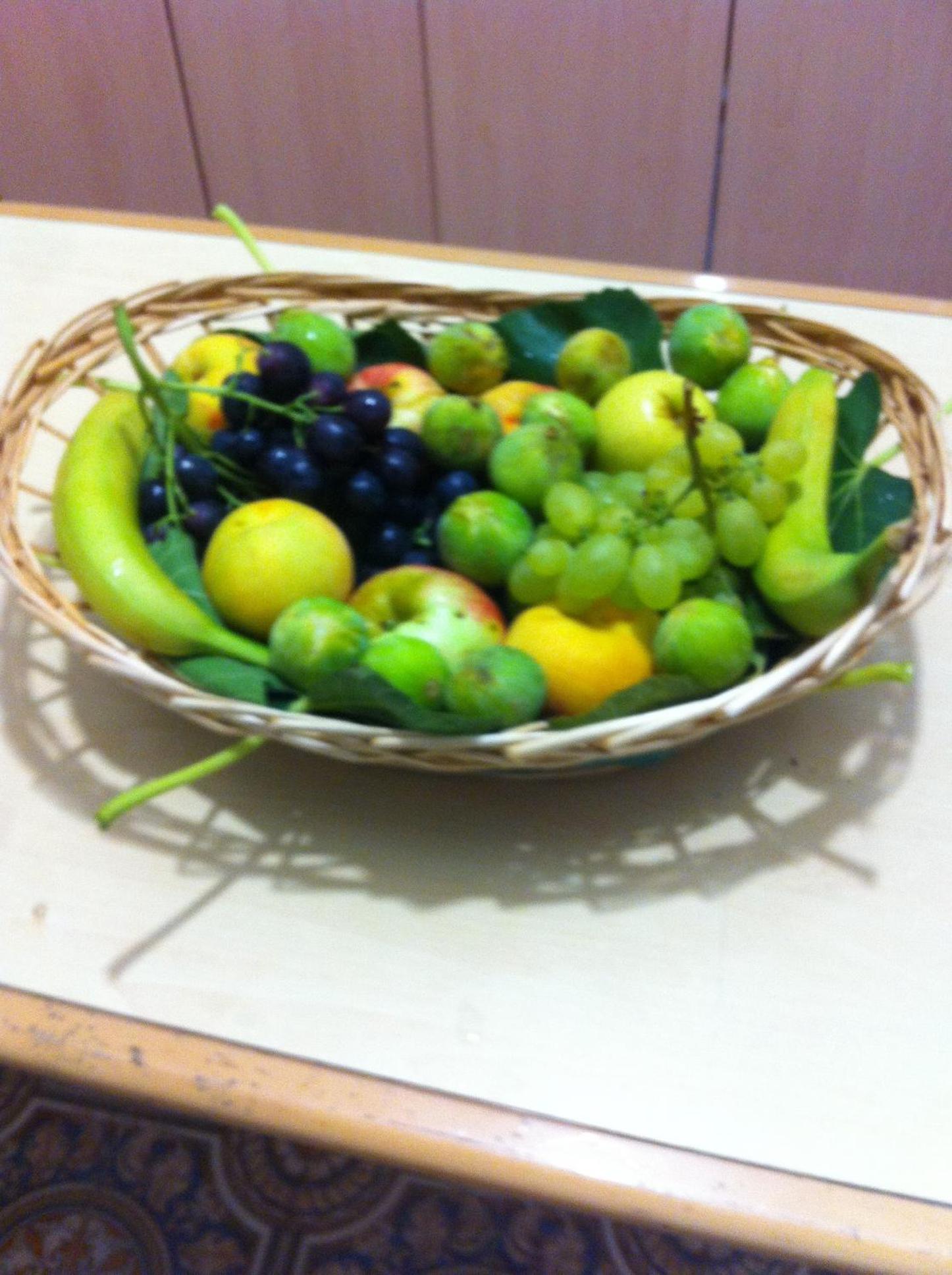 Photo 43
