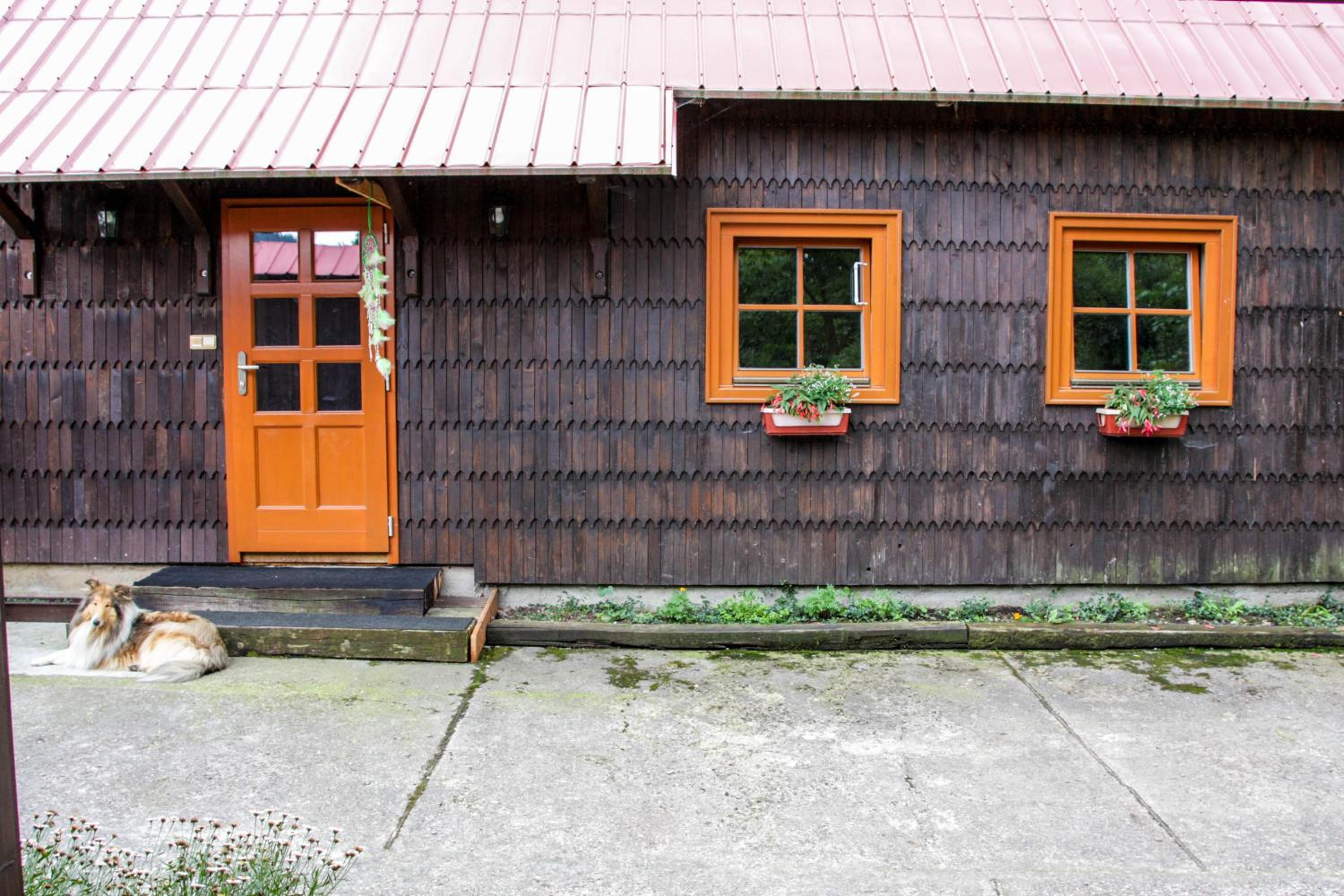 Photo 17