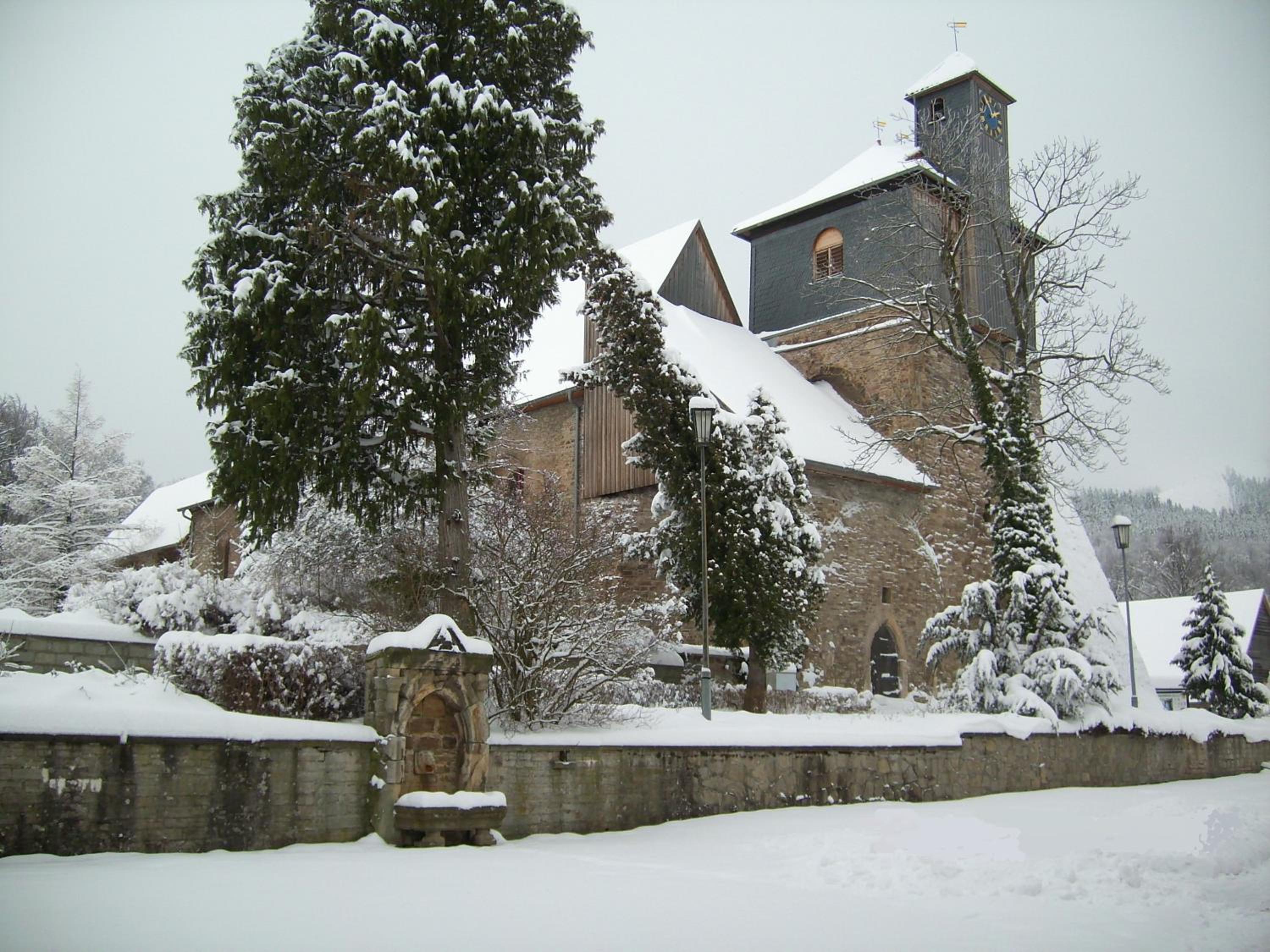 Photo 8