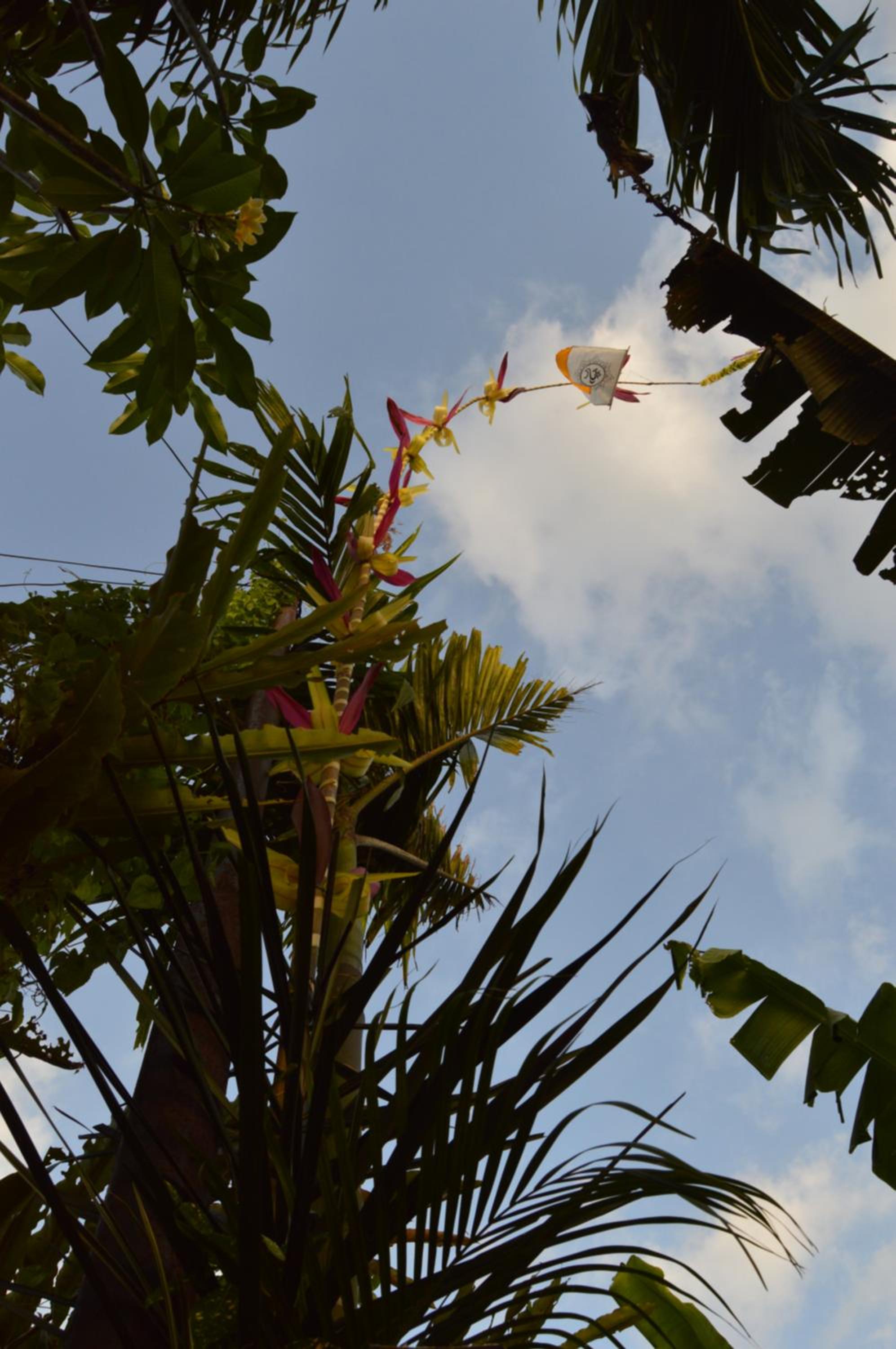 Askara Guest House & Hostel