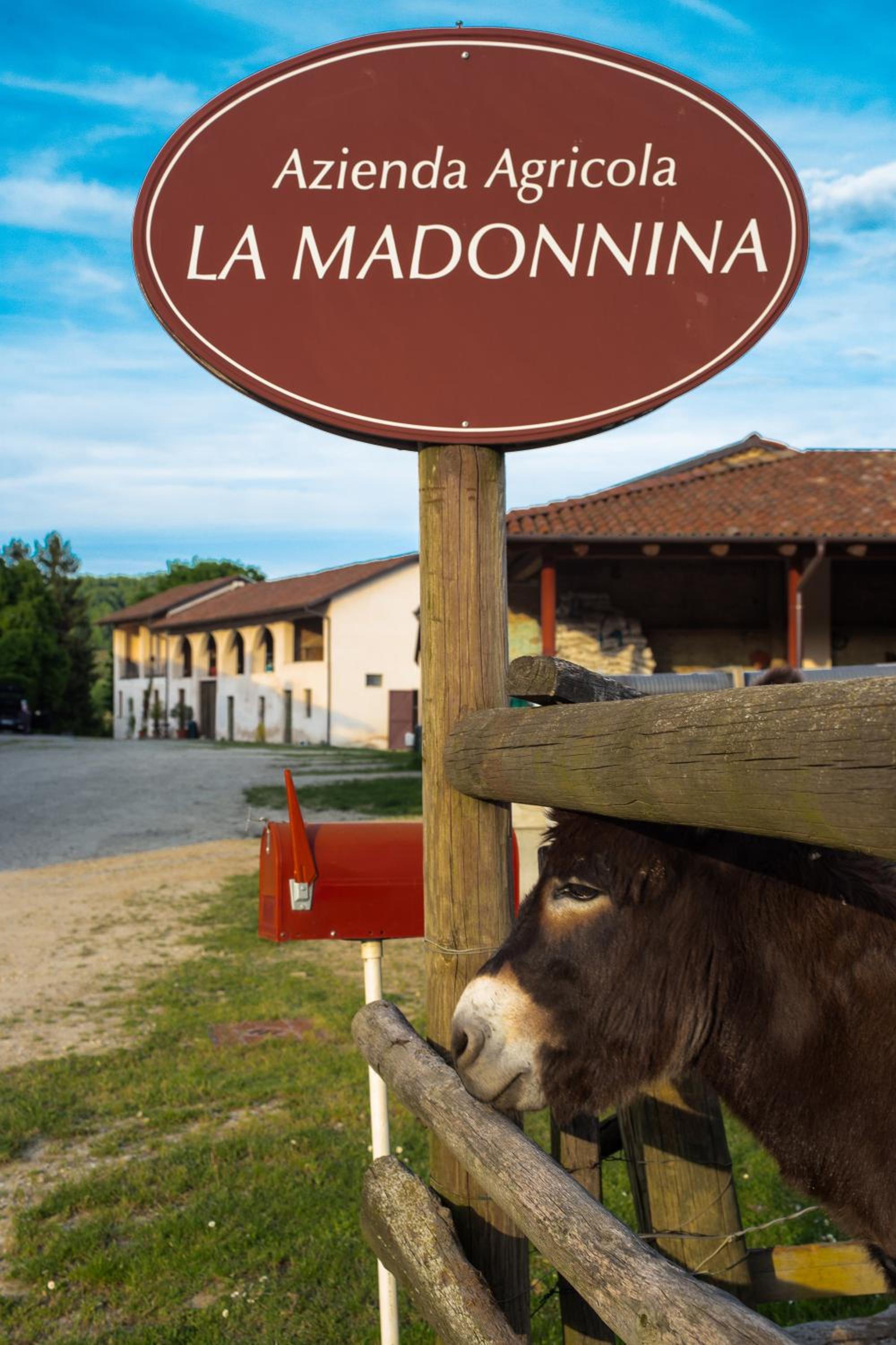 La Madonnina Agriturismo Dorè
