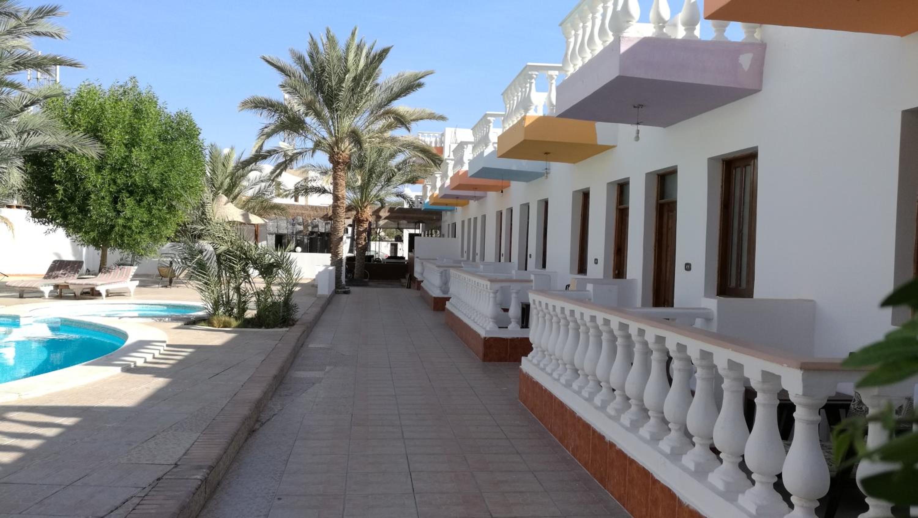 Octopus Hotel
