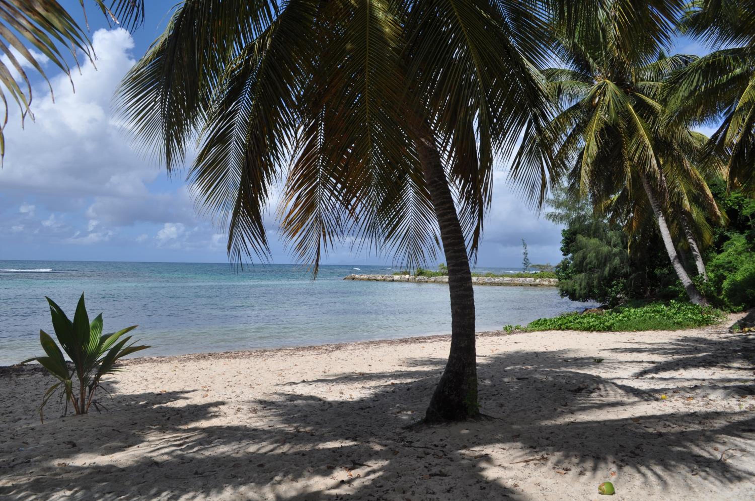 Studio Anse-des-Rochers