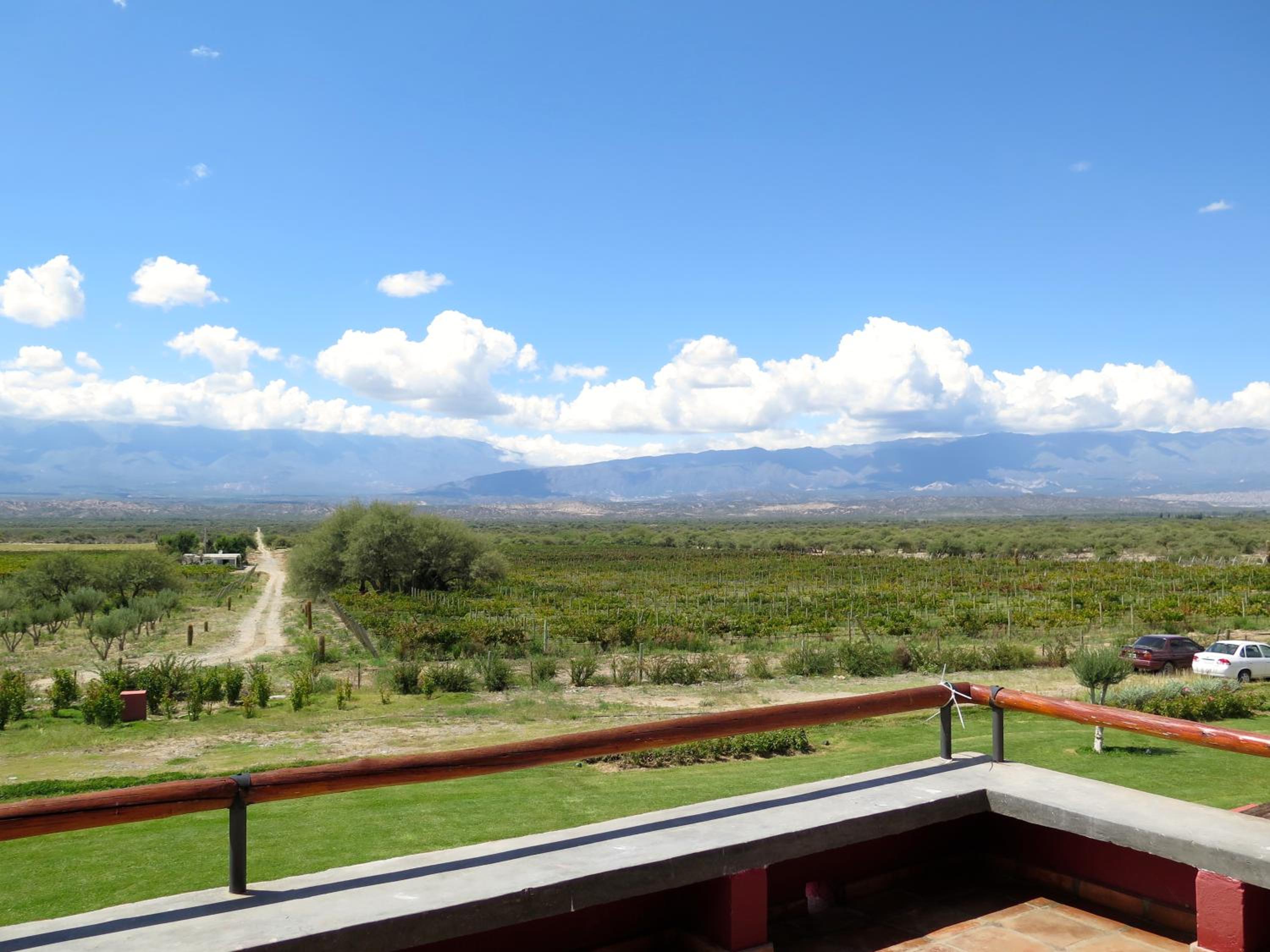 Finca Albarossa