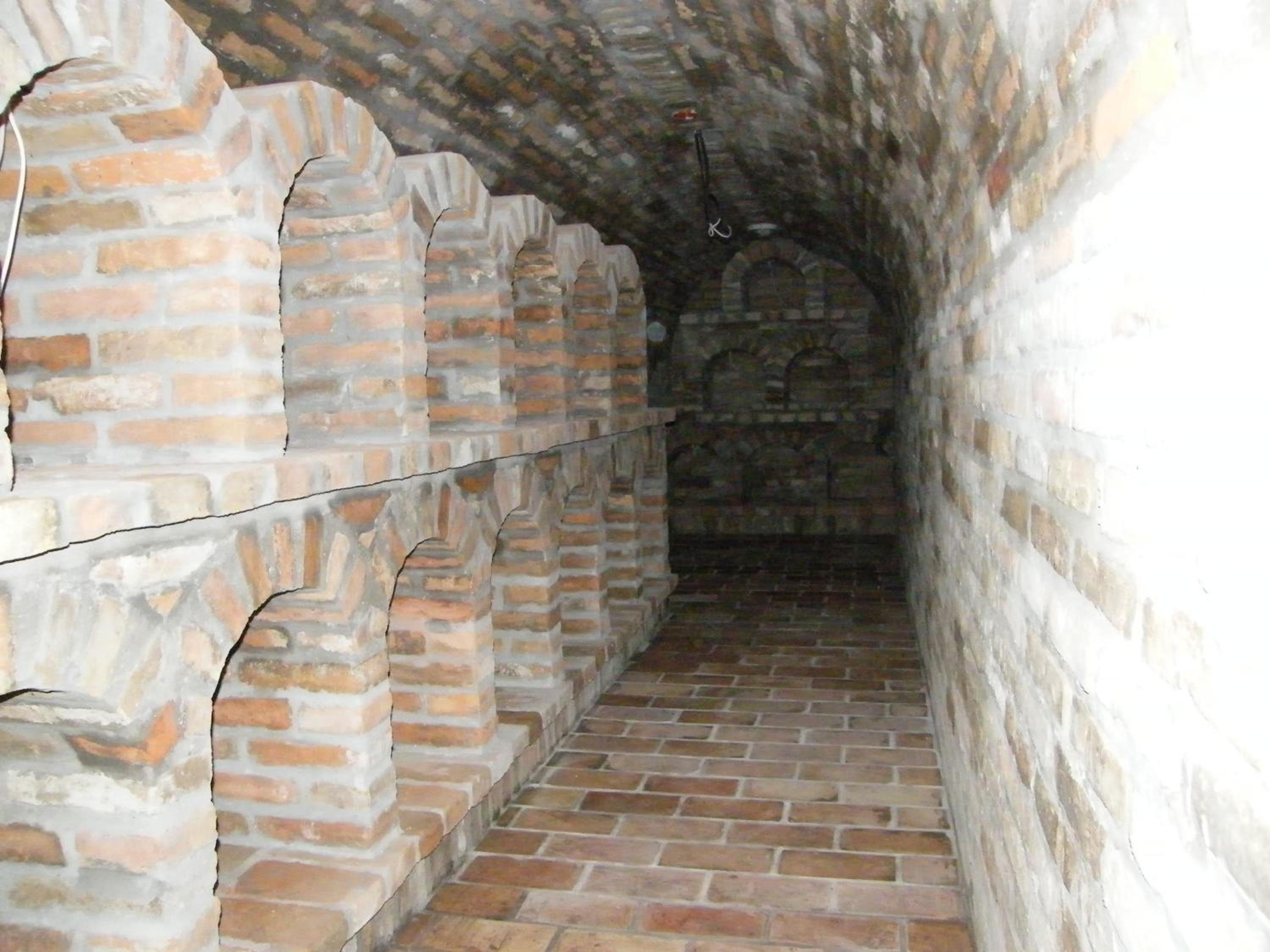 Photo 81