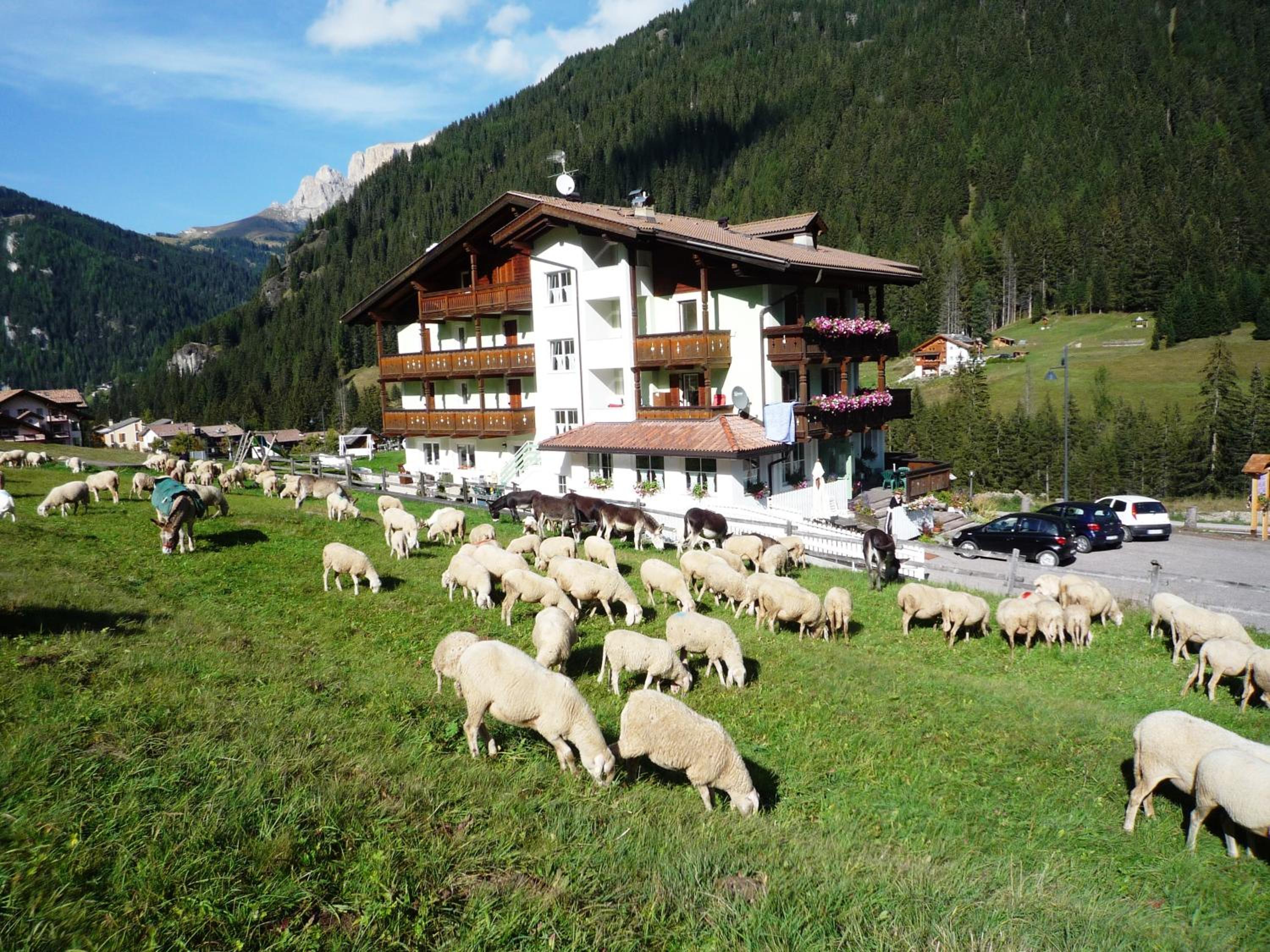 hotel building
