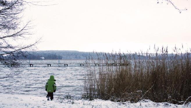 Norweger Haus am Tollensesee