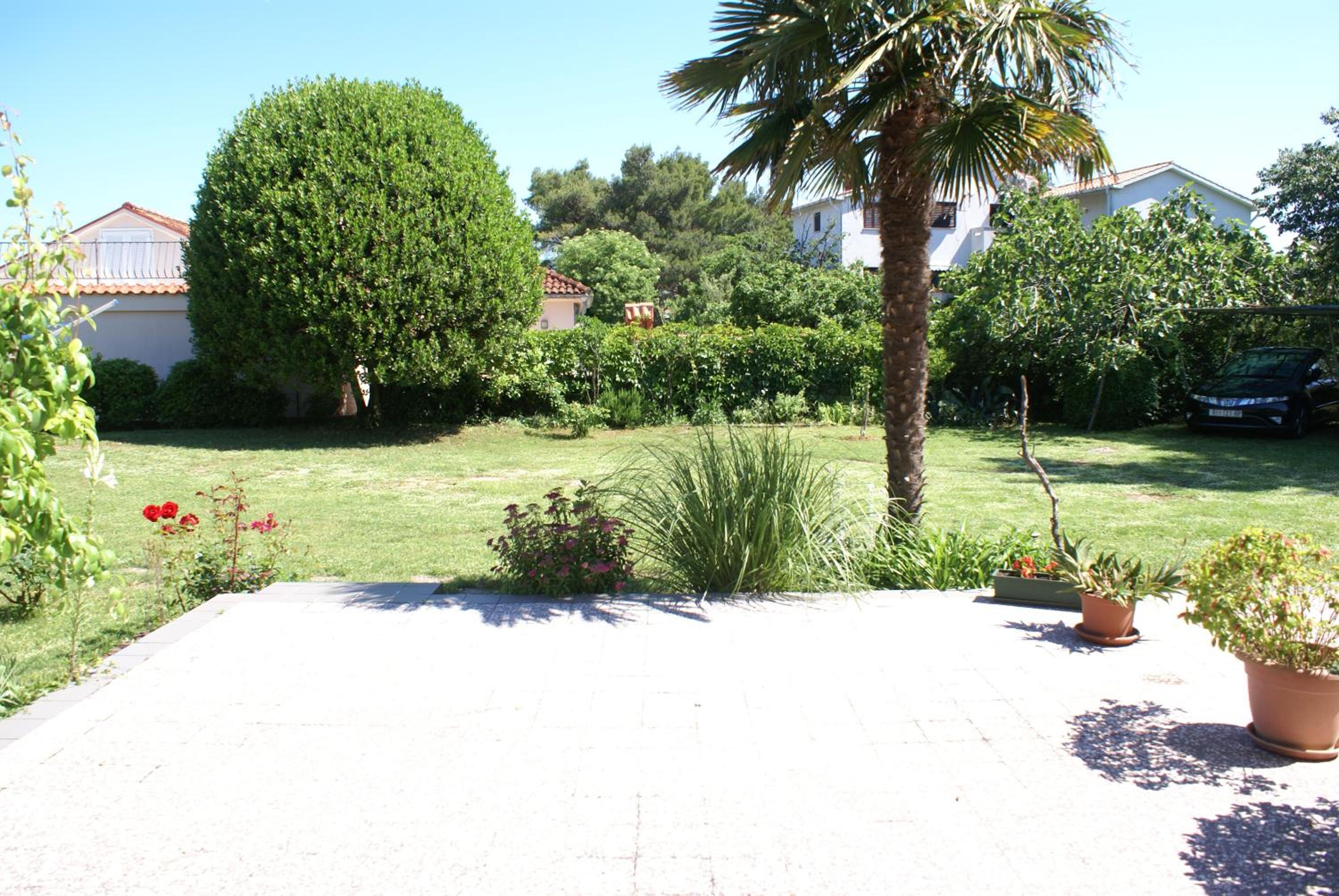 Photo 37