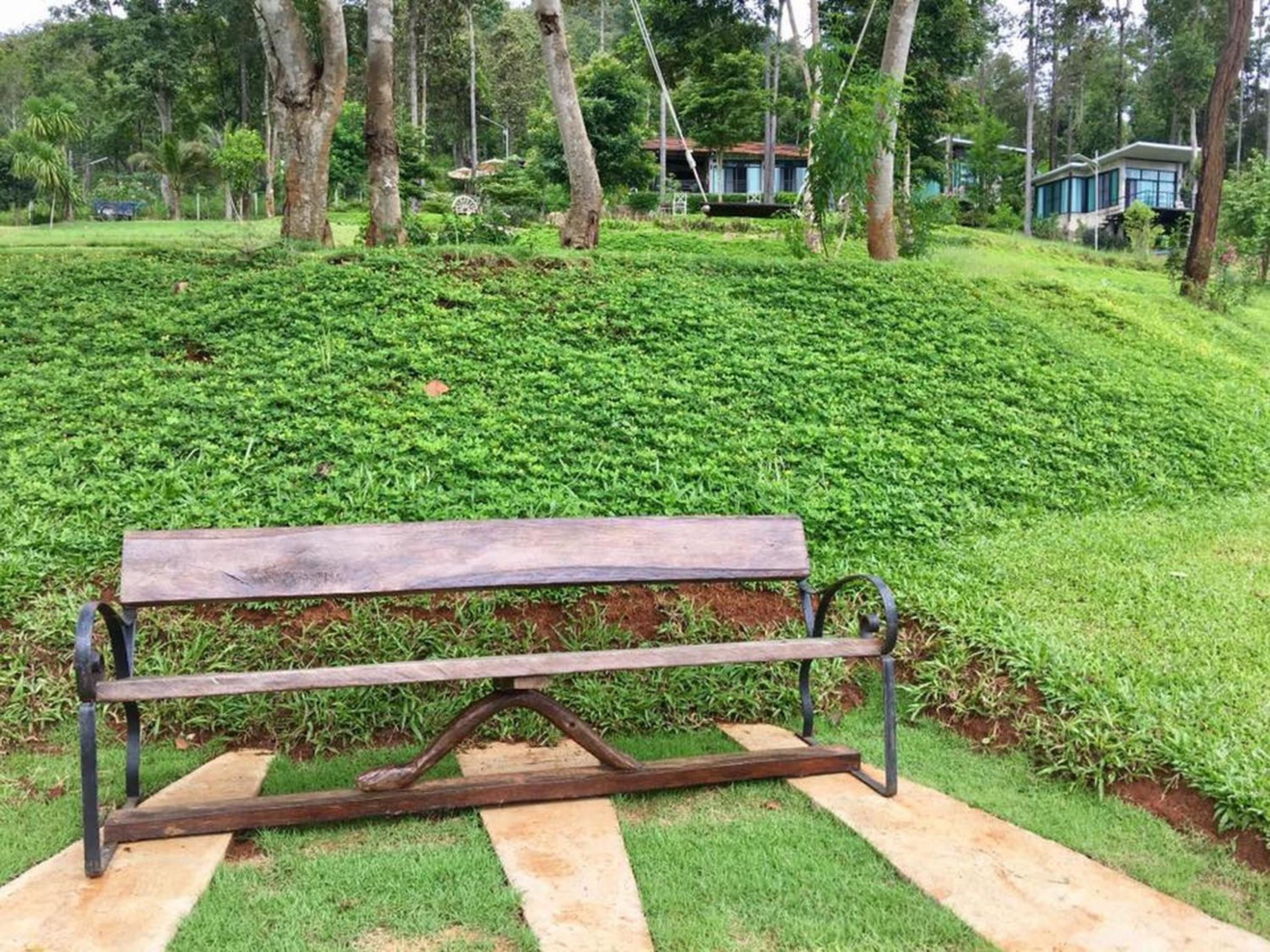Phu Pha View Doi