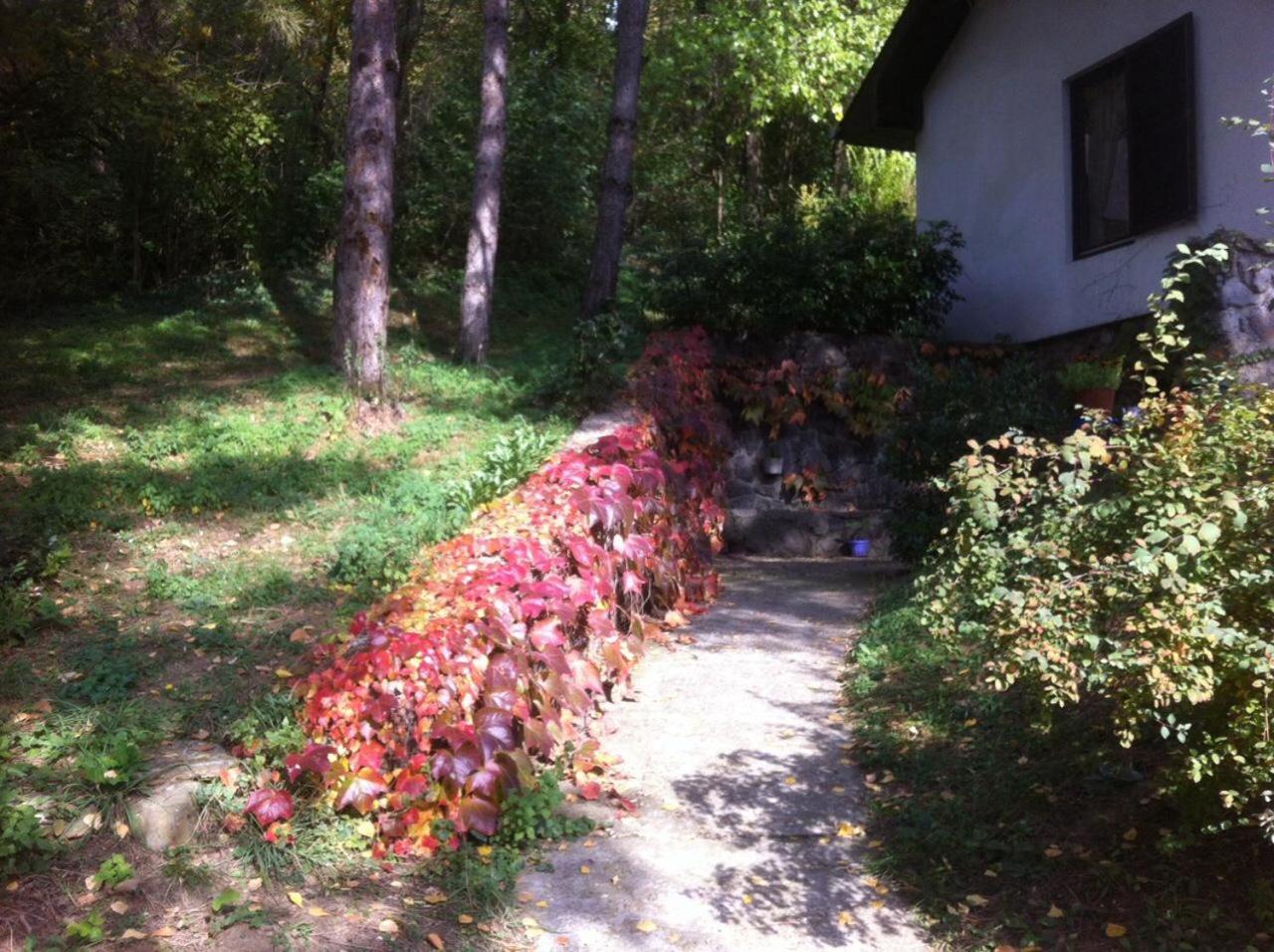 Photo 22