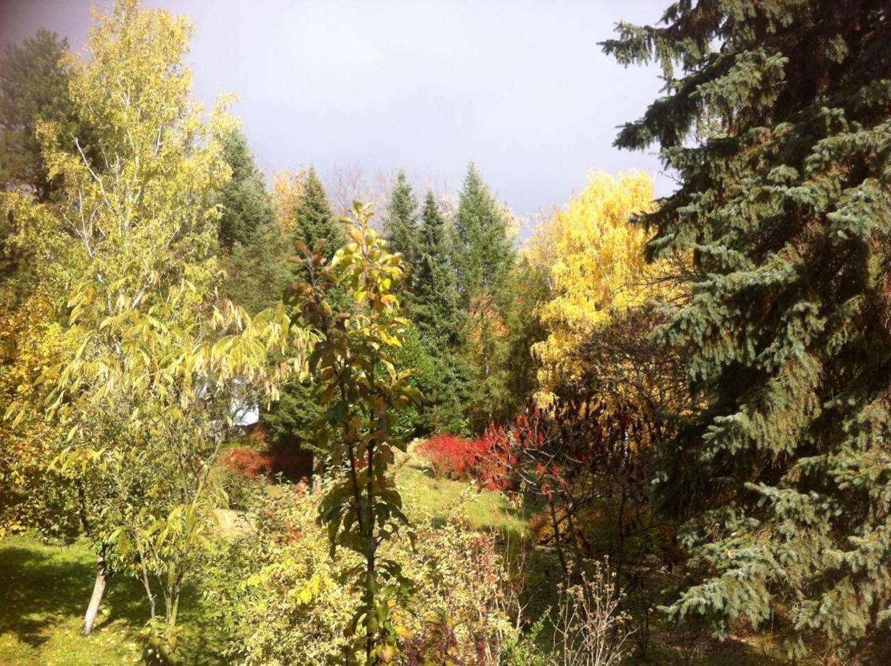 Photo 29