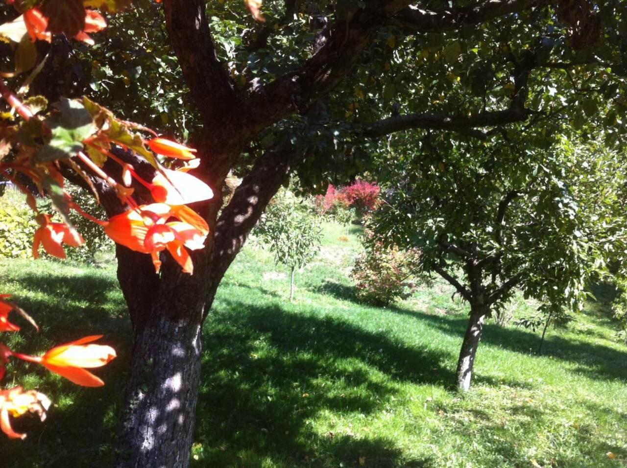 Photo 58