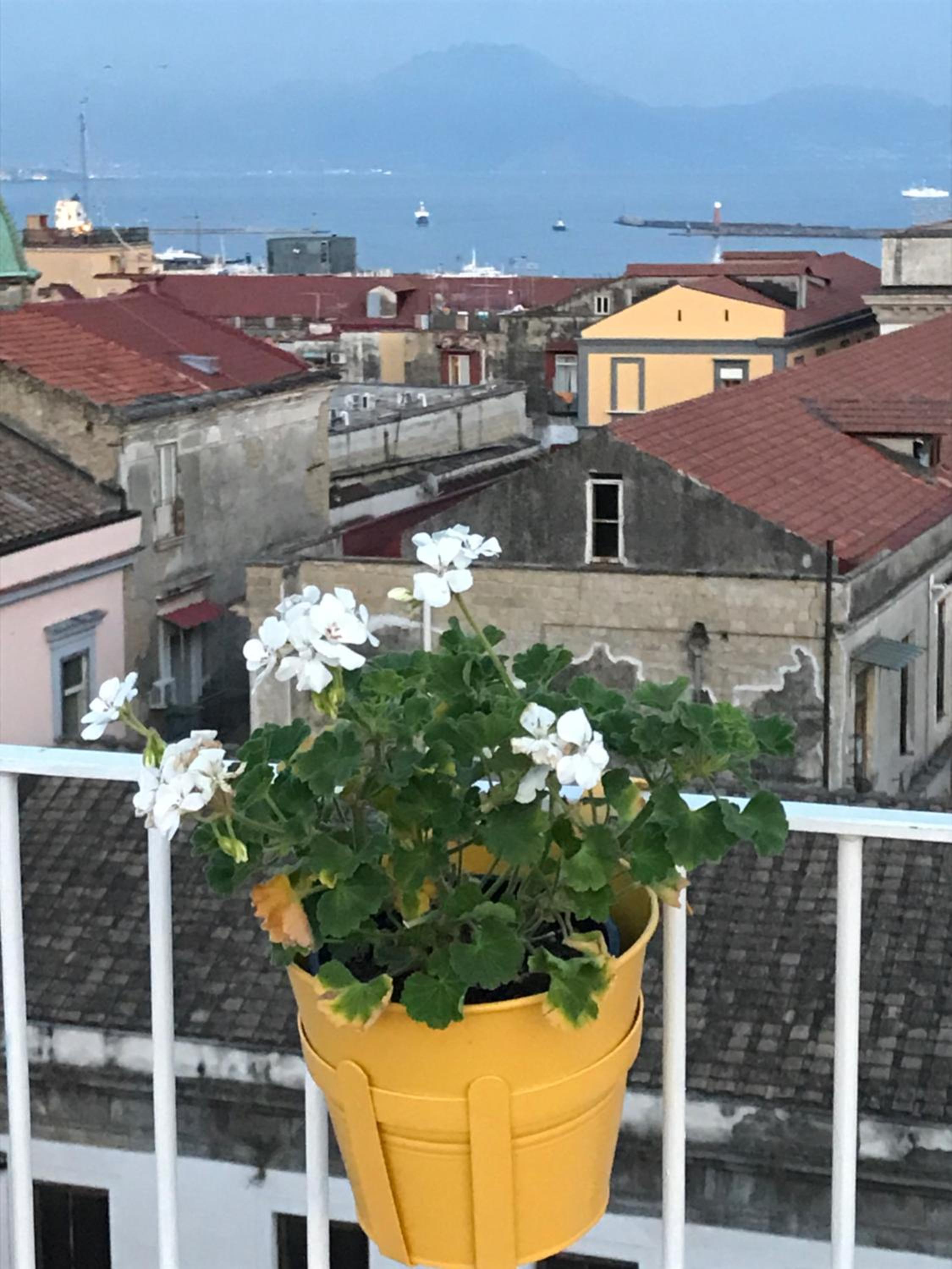 La Casa sui Tetti