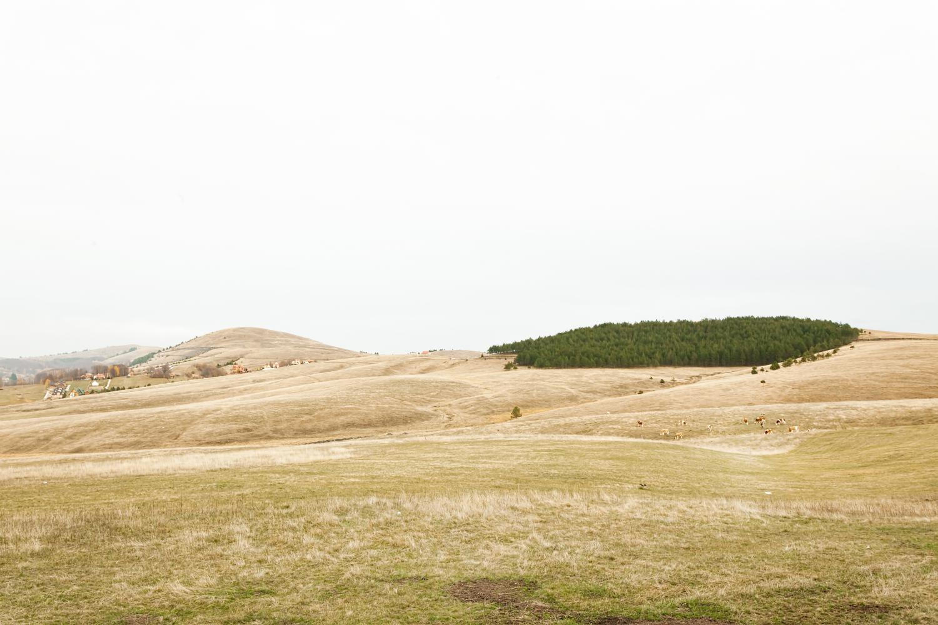 Photo 48