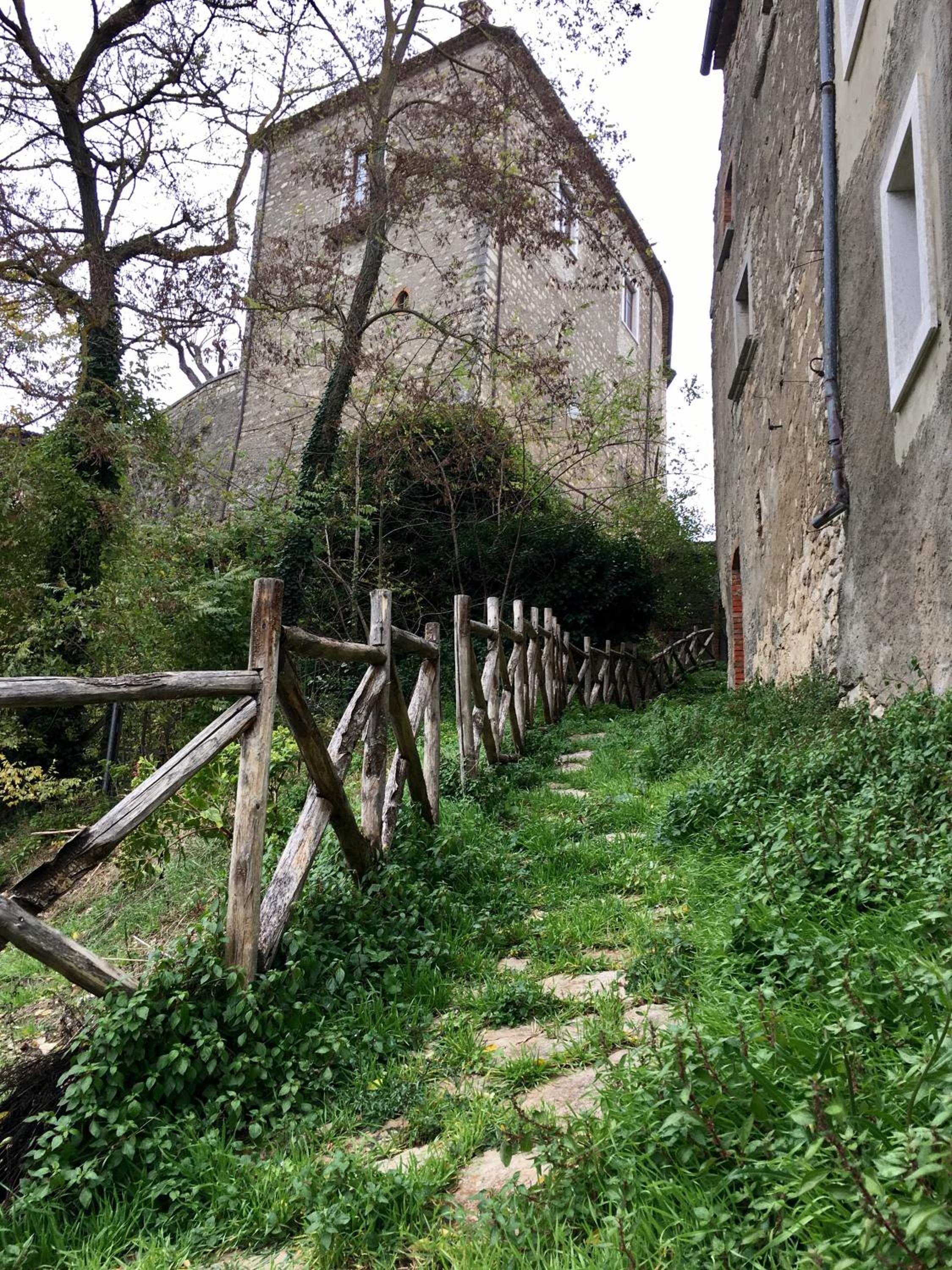 Photo 44