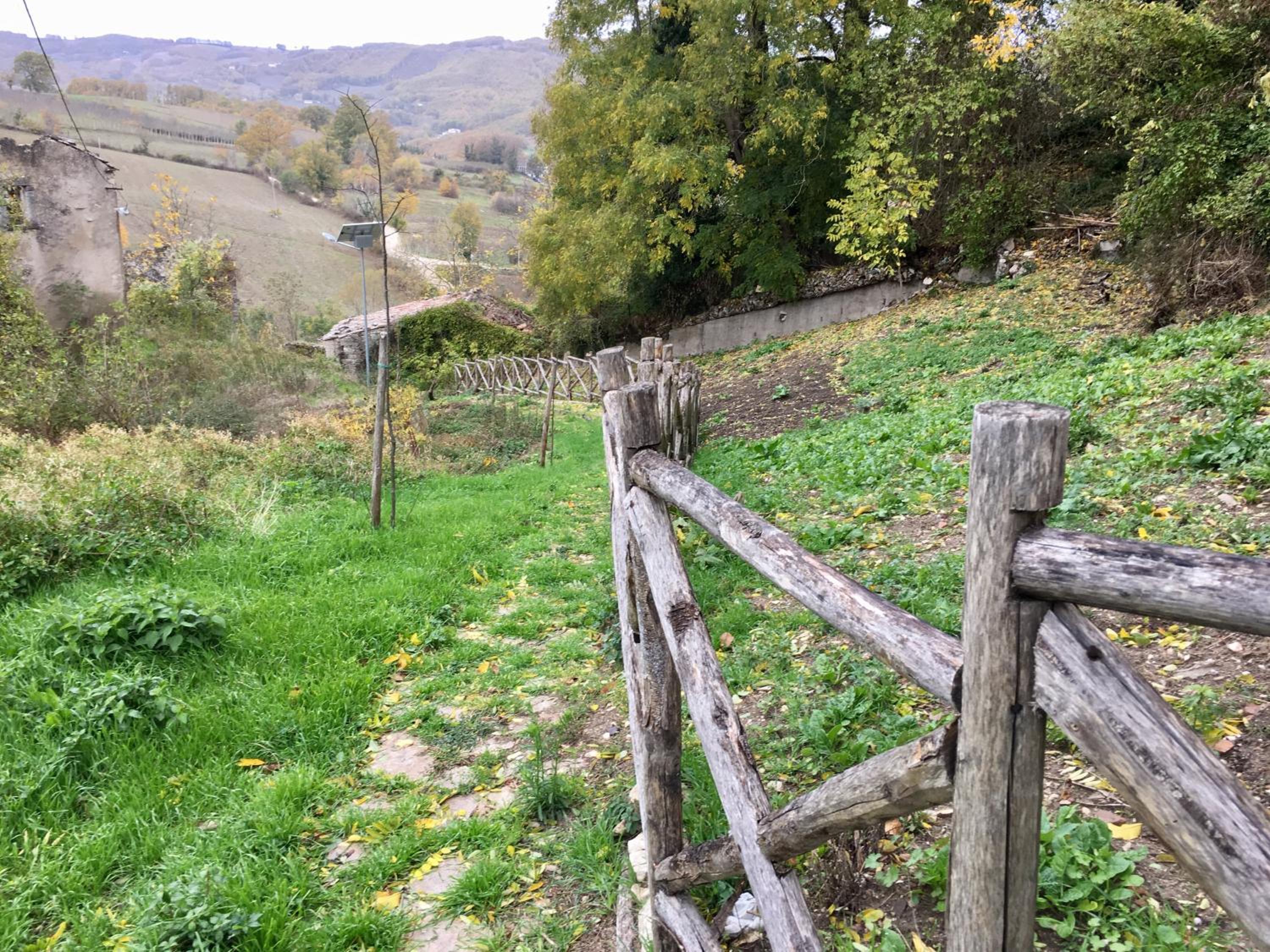 Photo 43