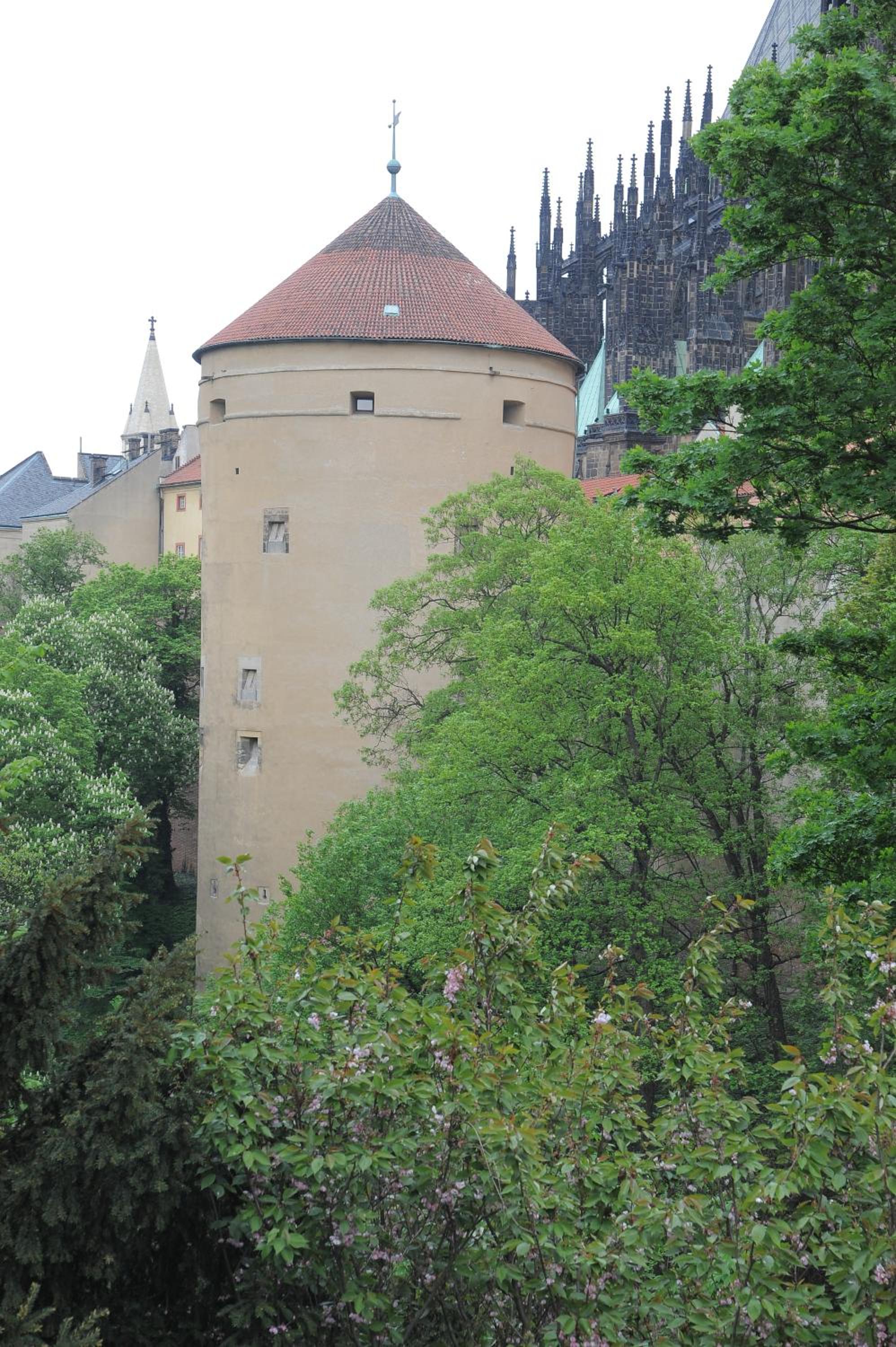 Císařka Apartments
