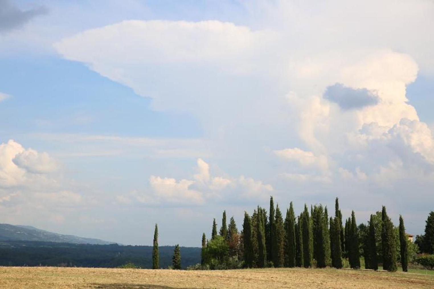 Villa Francesca