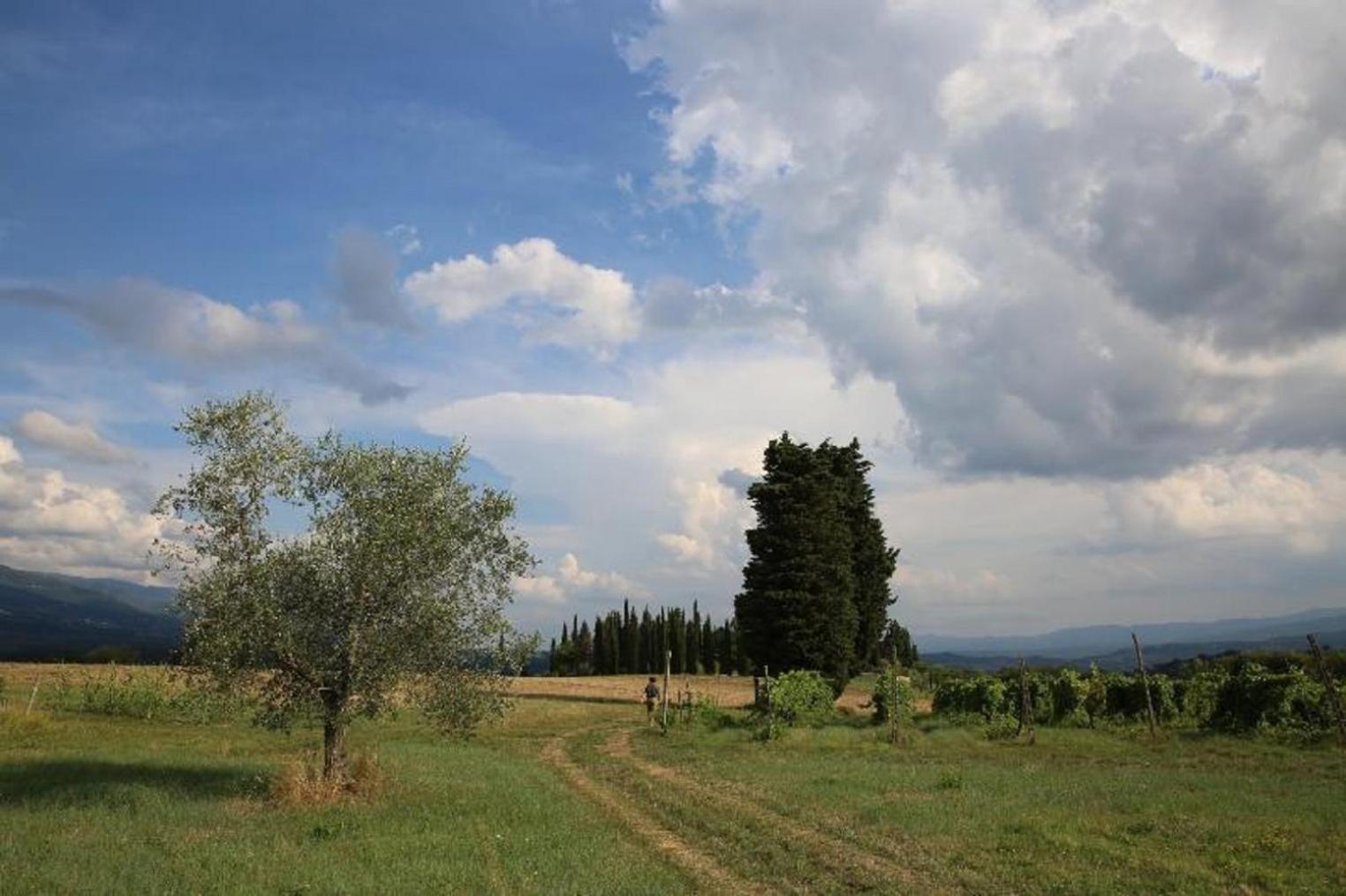 Villa Francesca