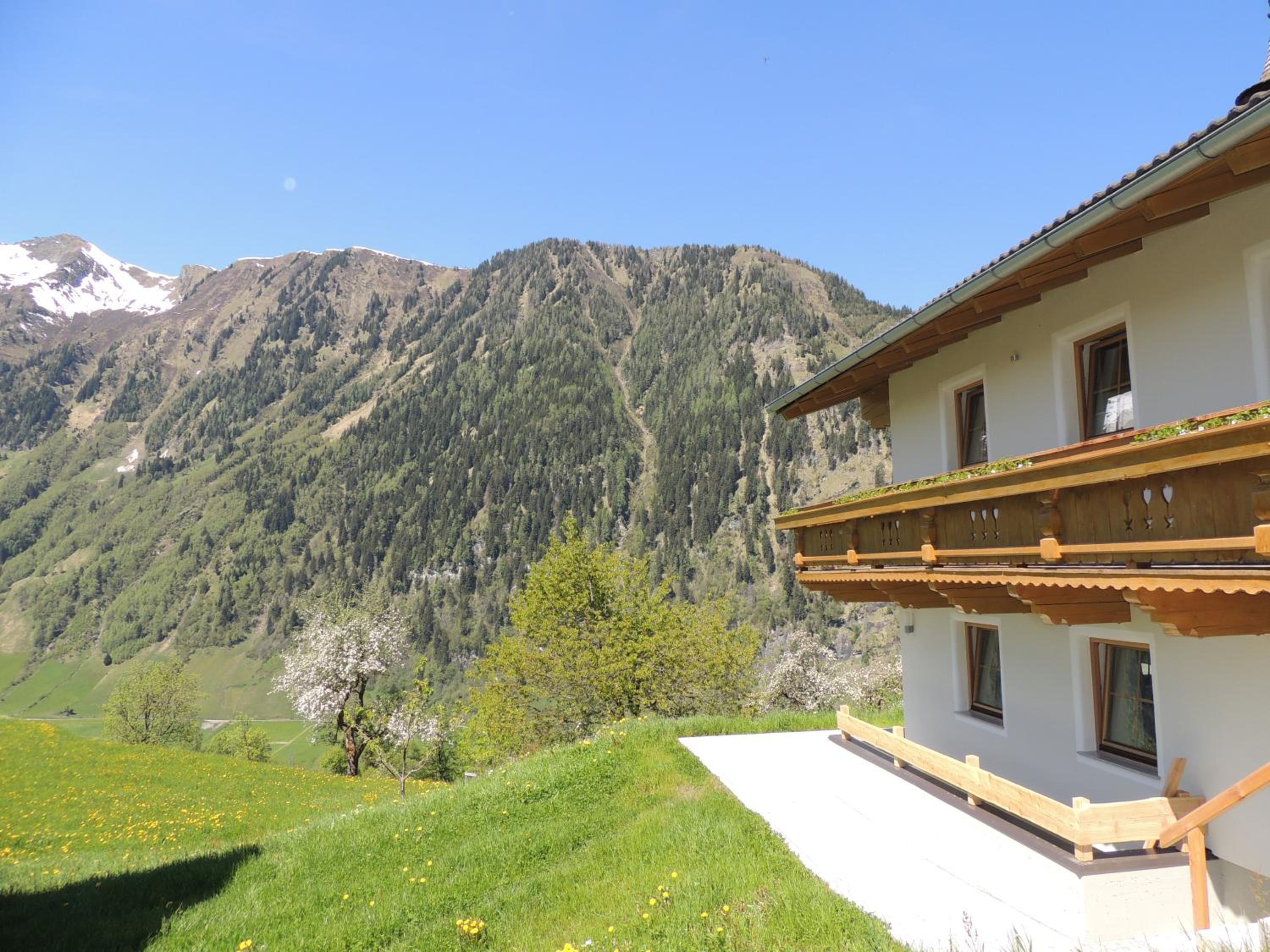 Photo 93