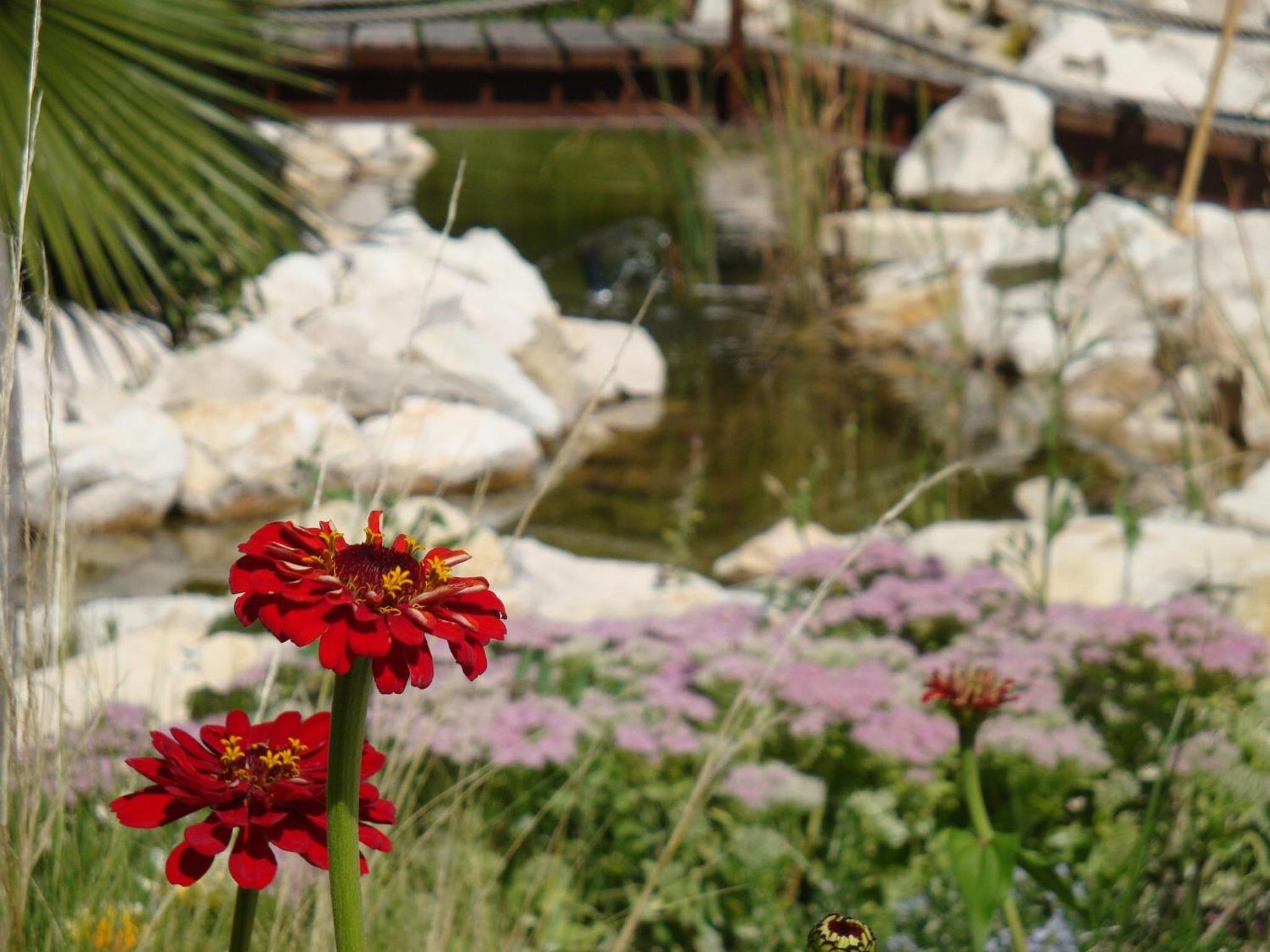 Jardines de Casablanca