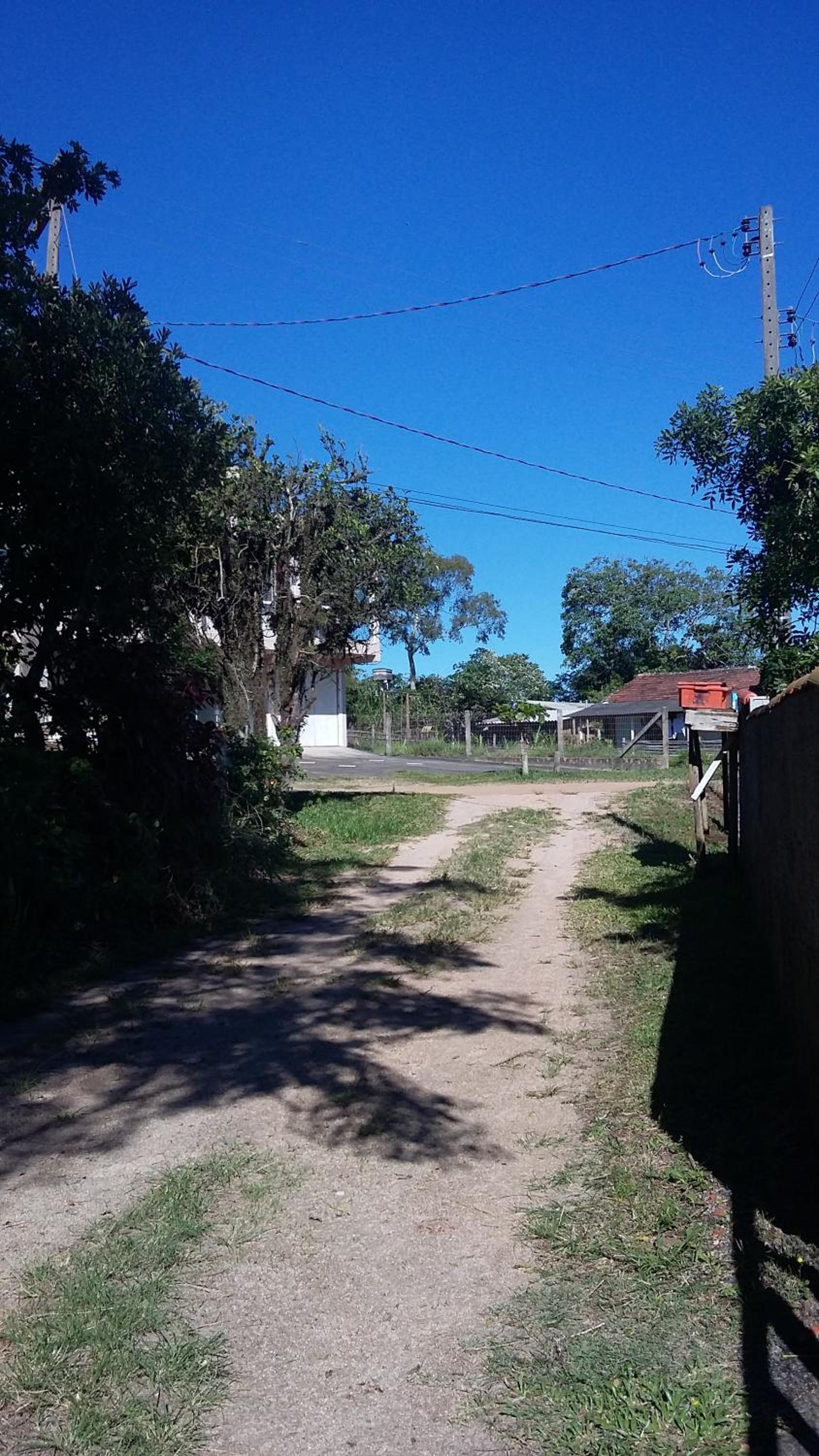 Photo 35