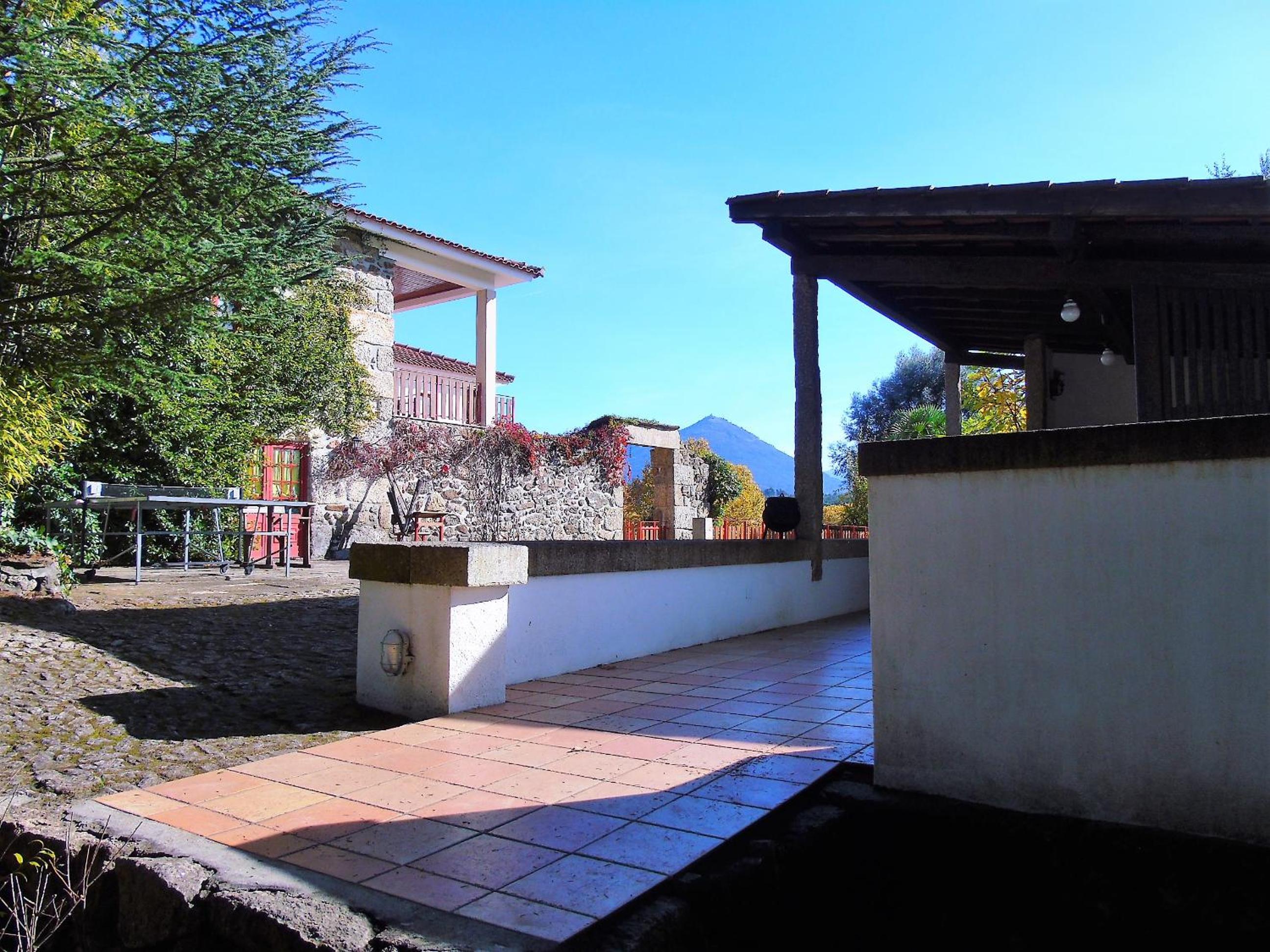 Photo 45