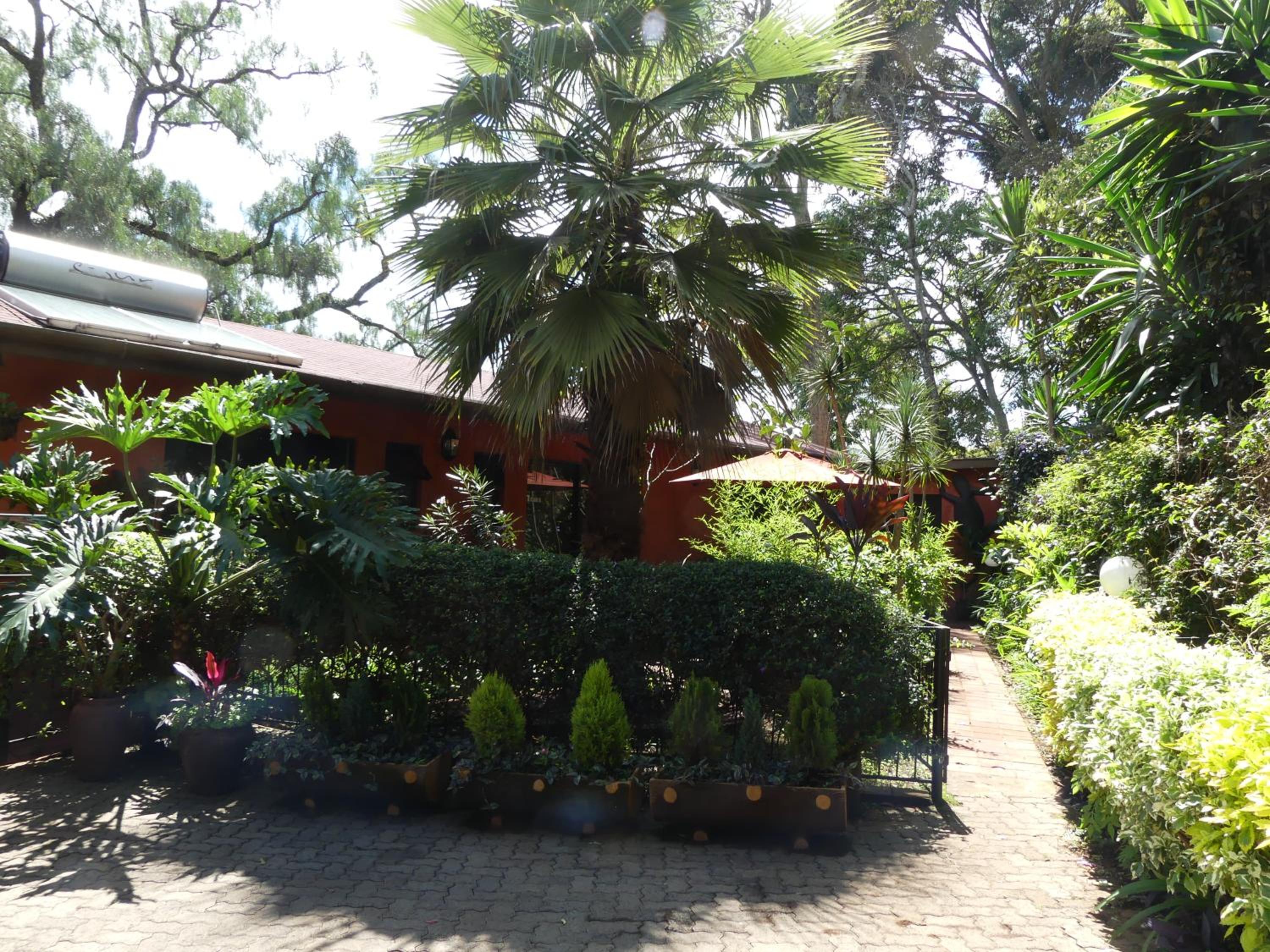 Photo 43