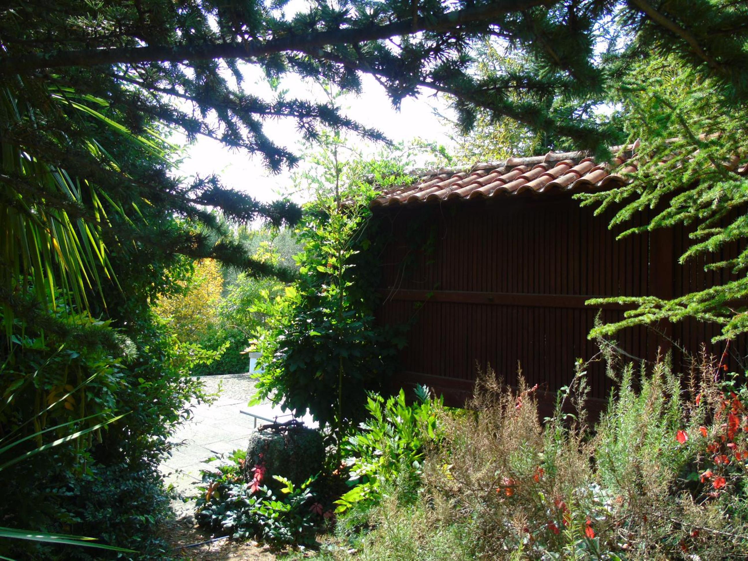 Photo 48