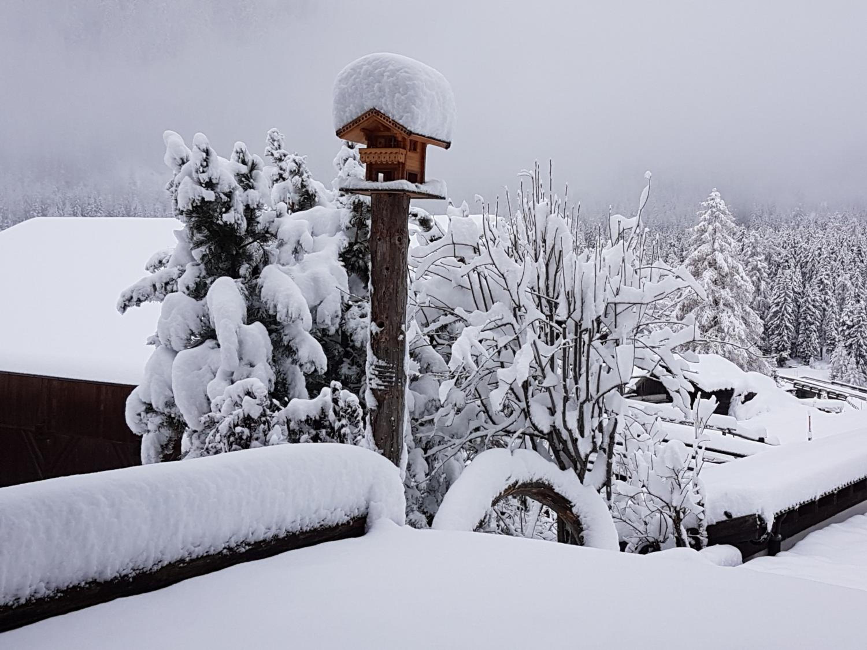 Pension Fürhapter mit Bio- Bauernhof