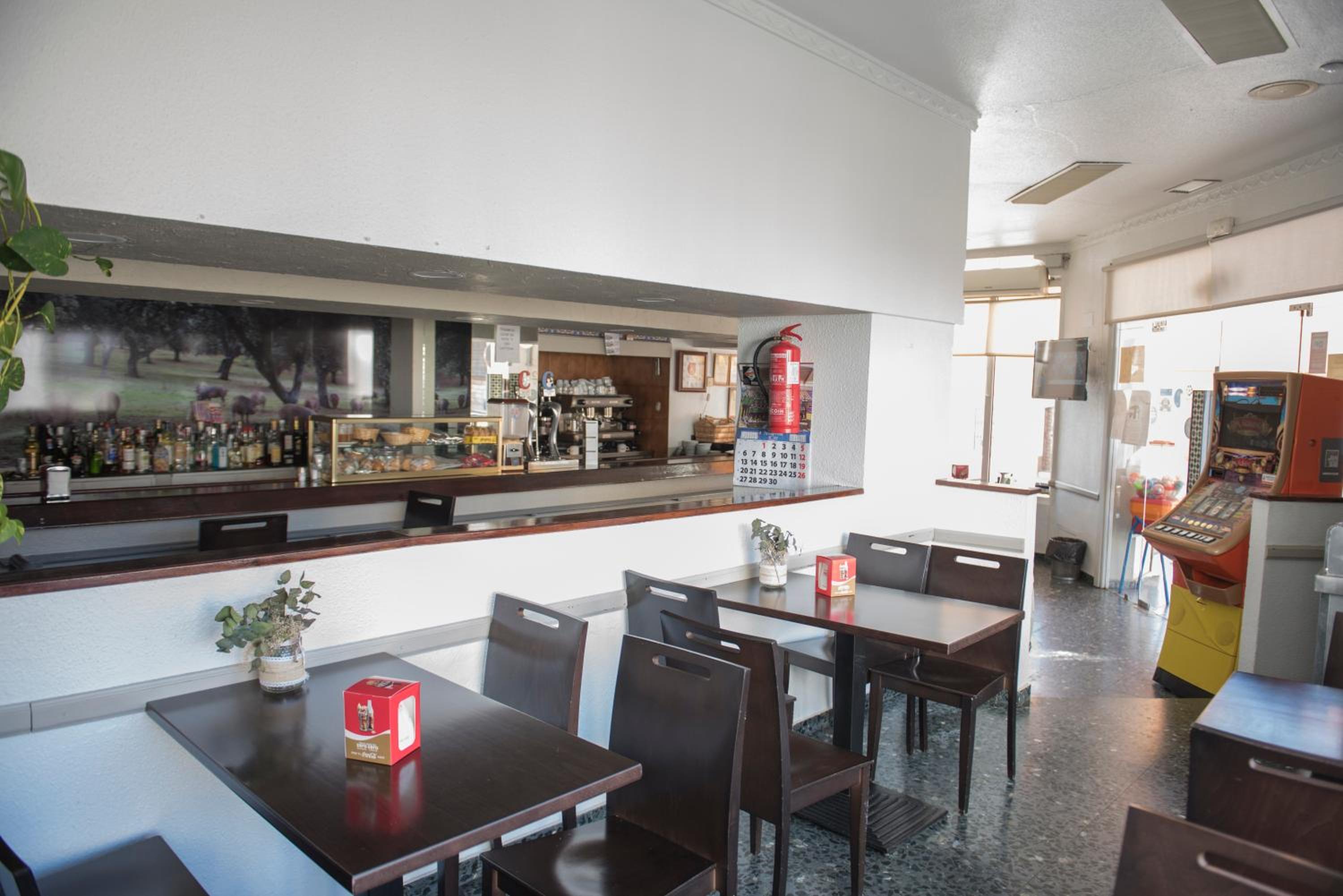 Hostal DP El Pilar