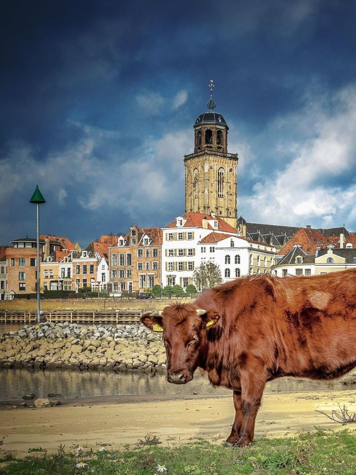 Deventer Heritage en Boutique B&B, museumhuis "De Worp", het huis met de theekoepel, logeren in authentiek historisch erfgoed