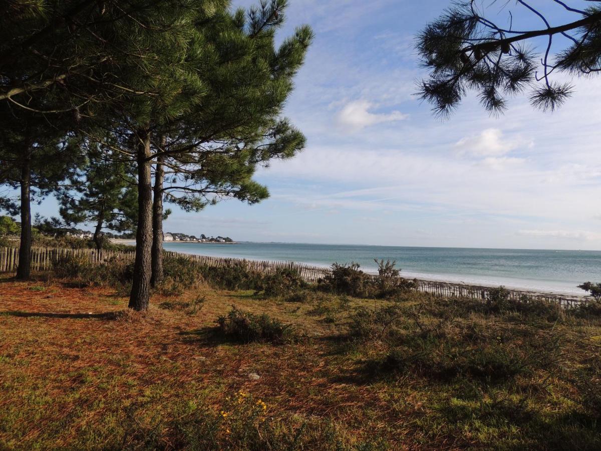 port an dro view 2