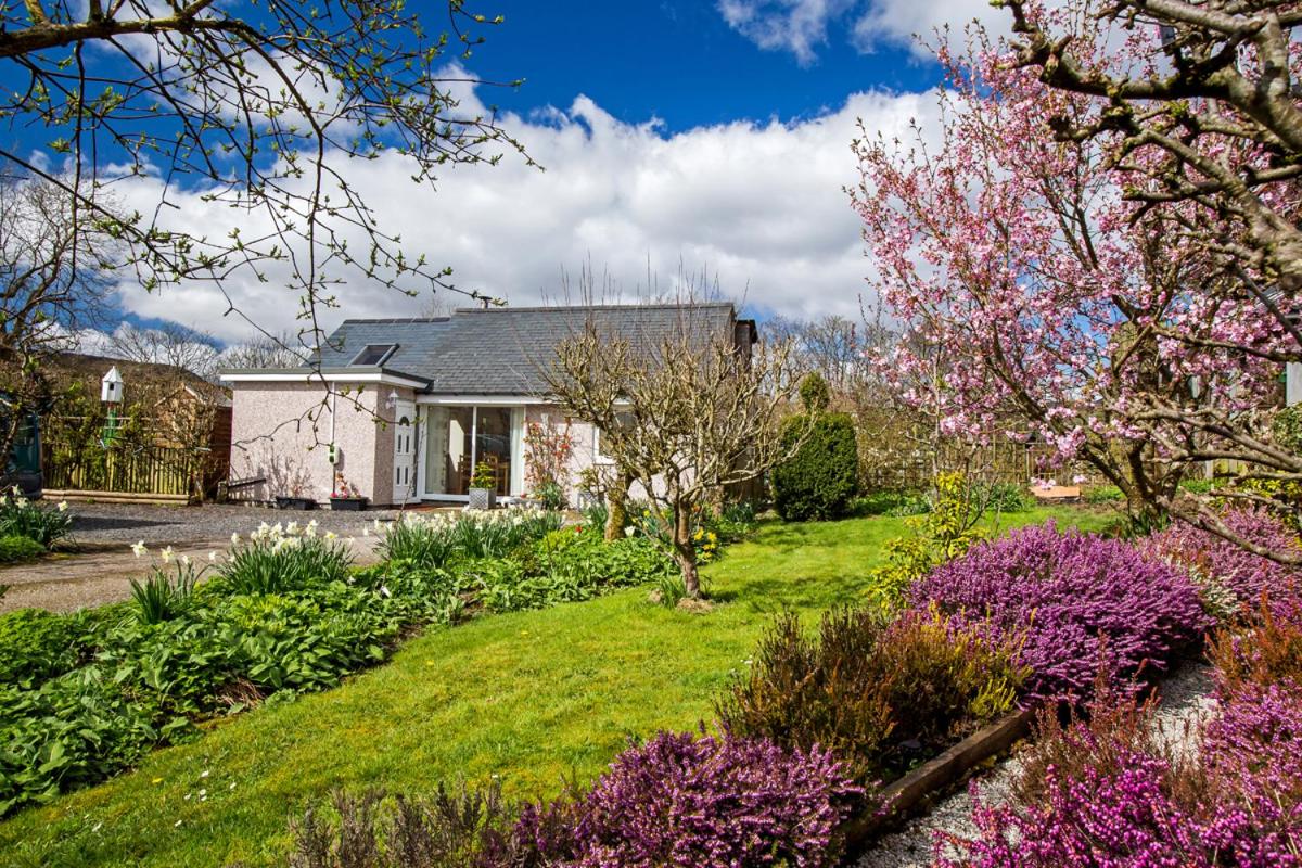 Ty'r Afon - River Cottage view 2