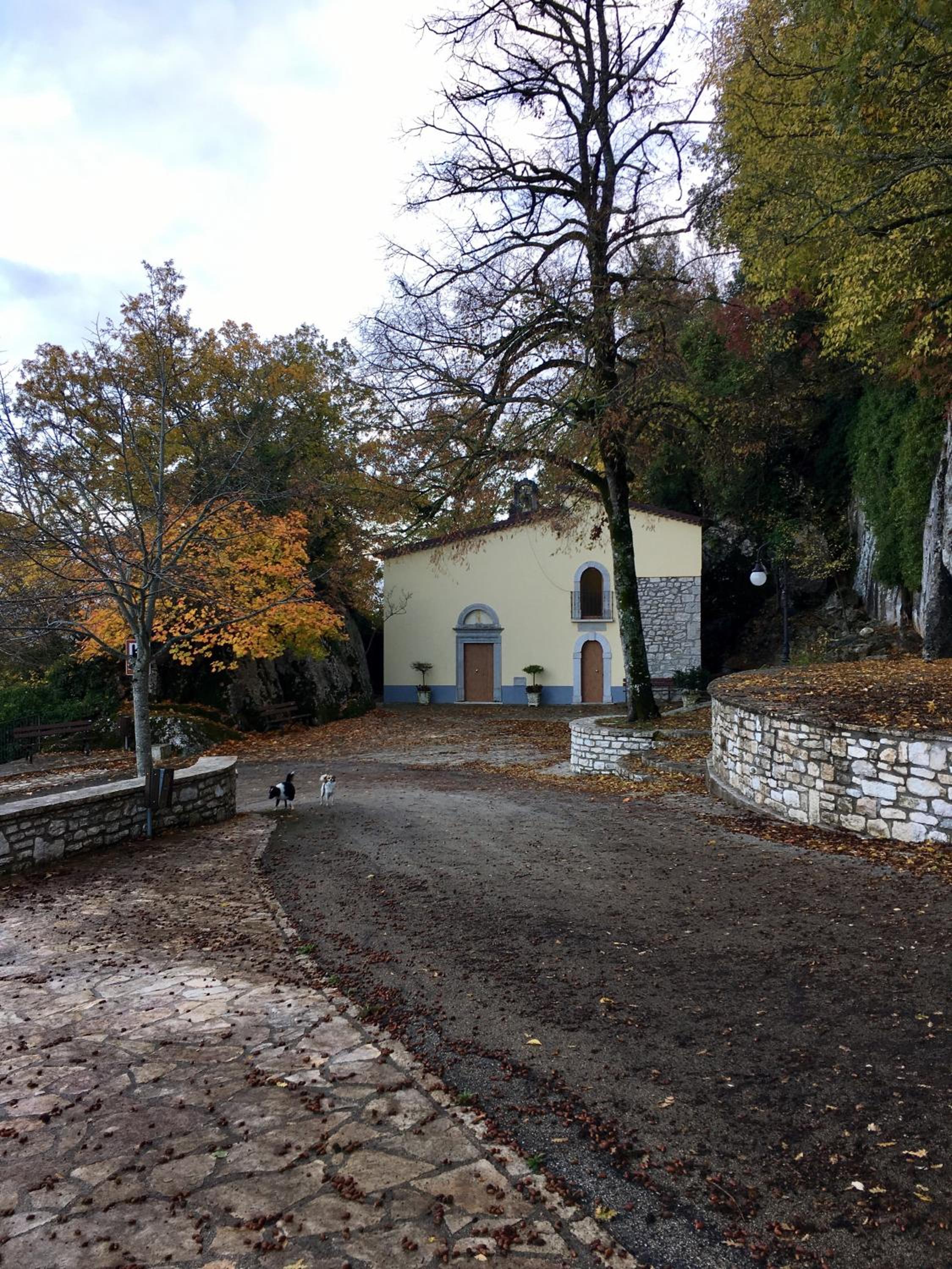 Photo 31