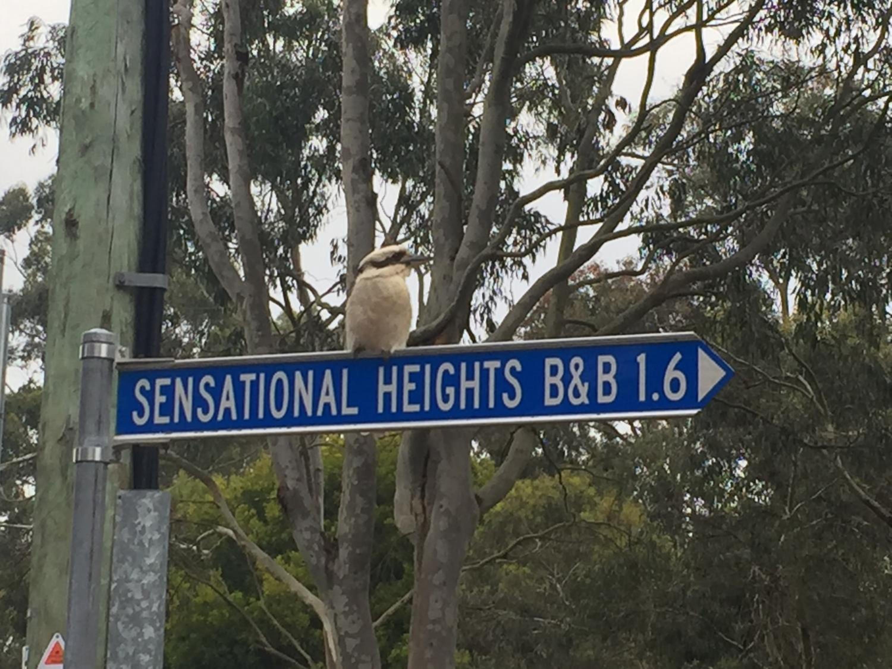 Sensational Heights Bed & Breakfast