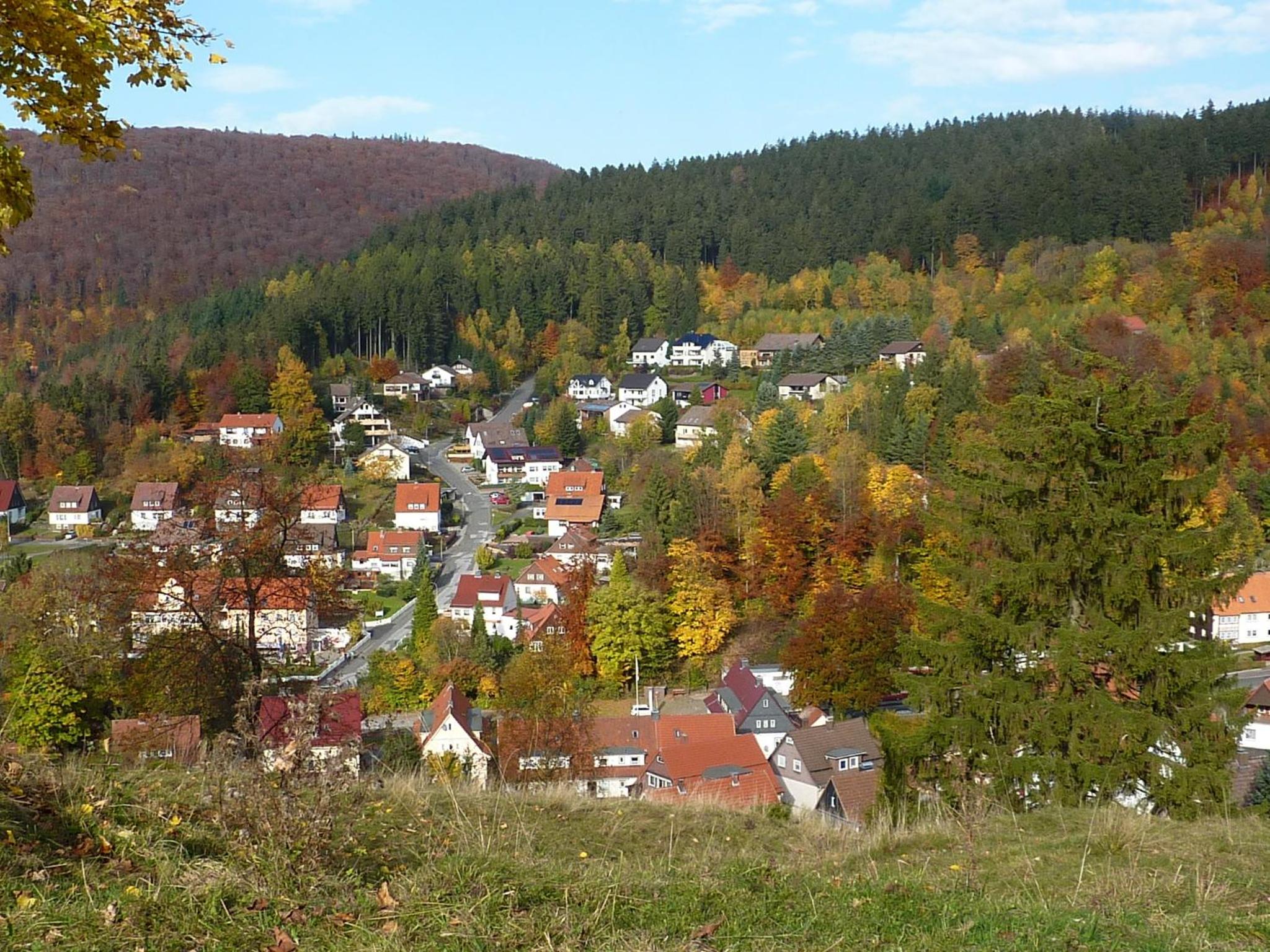 Pension Rheingold Garni
